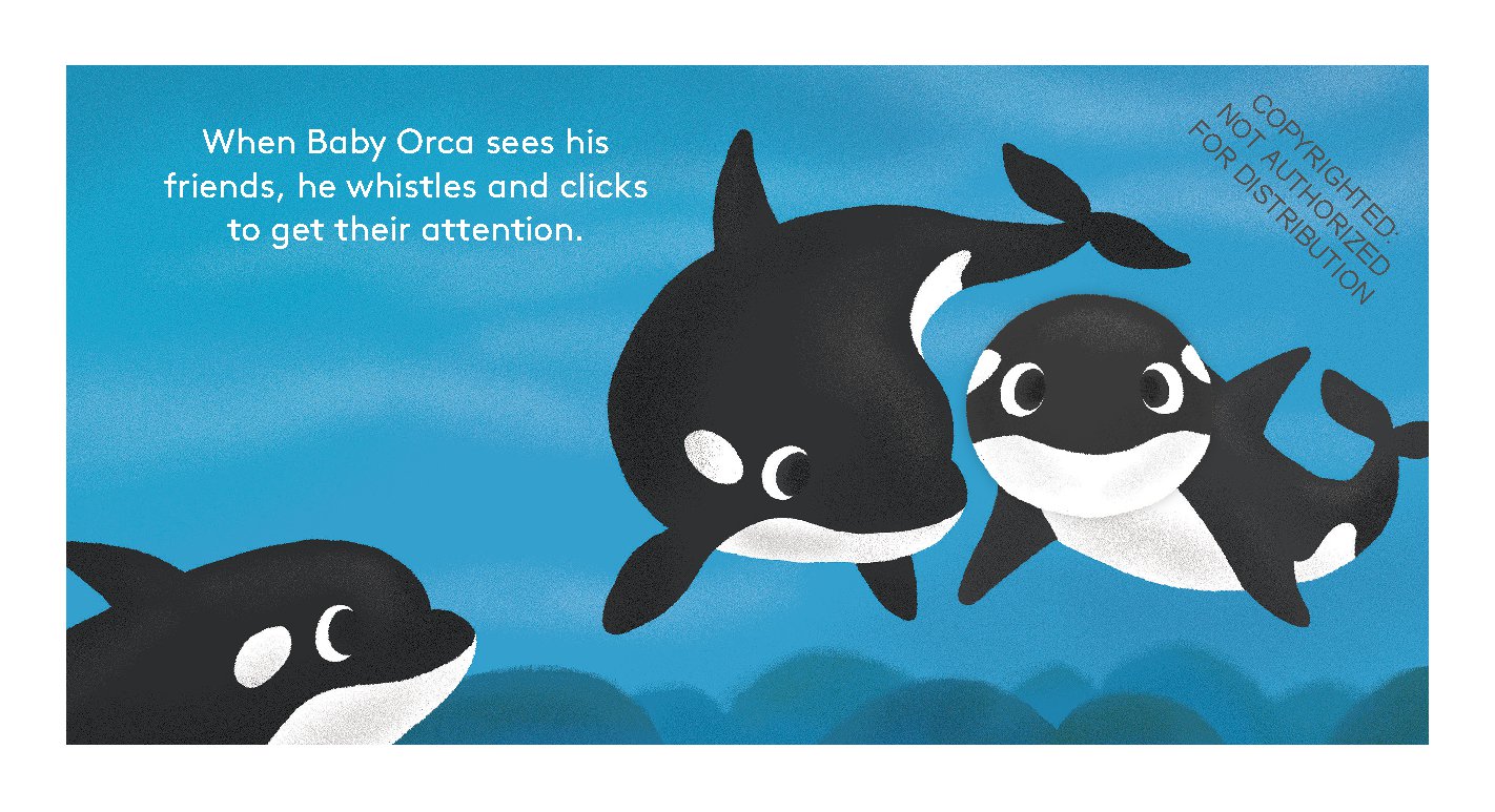 Baby Orca: Finger Puppet Book (Puppet Book for Babies, Baby Play Book, Interactive Baby Book)