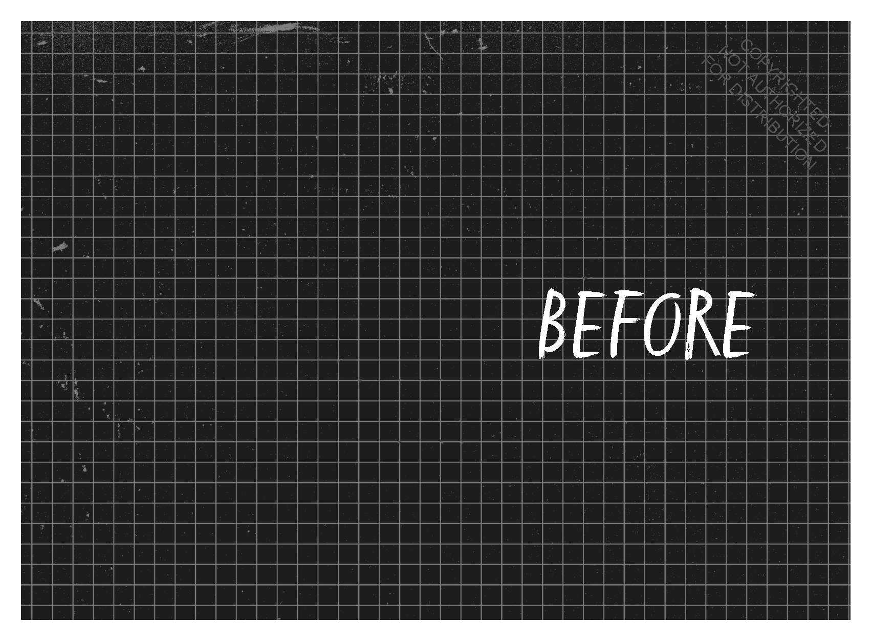 Redwood and Ponytail