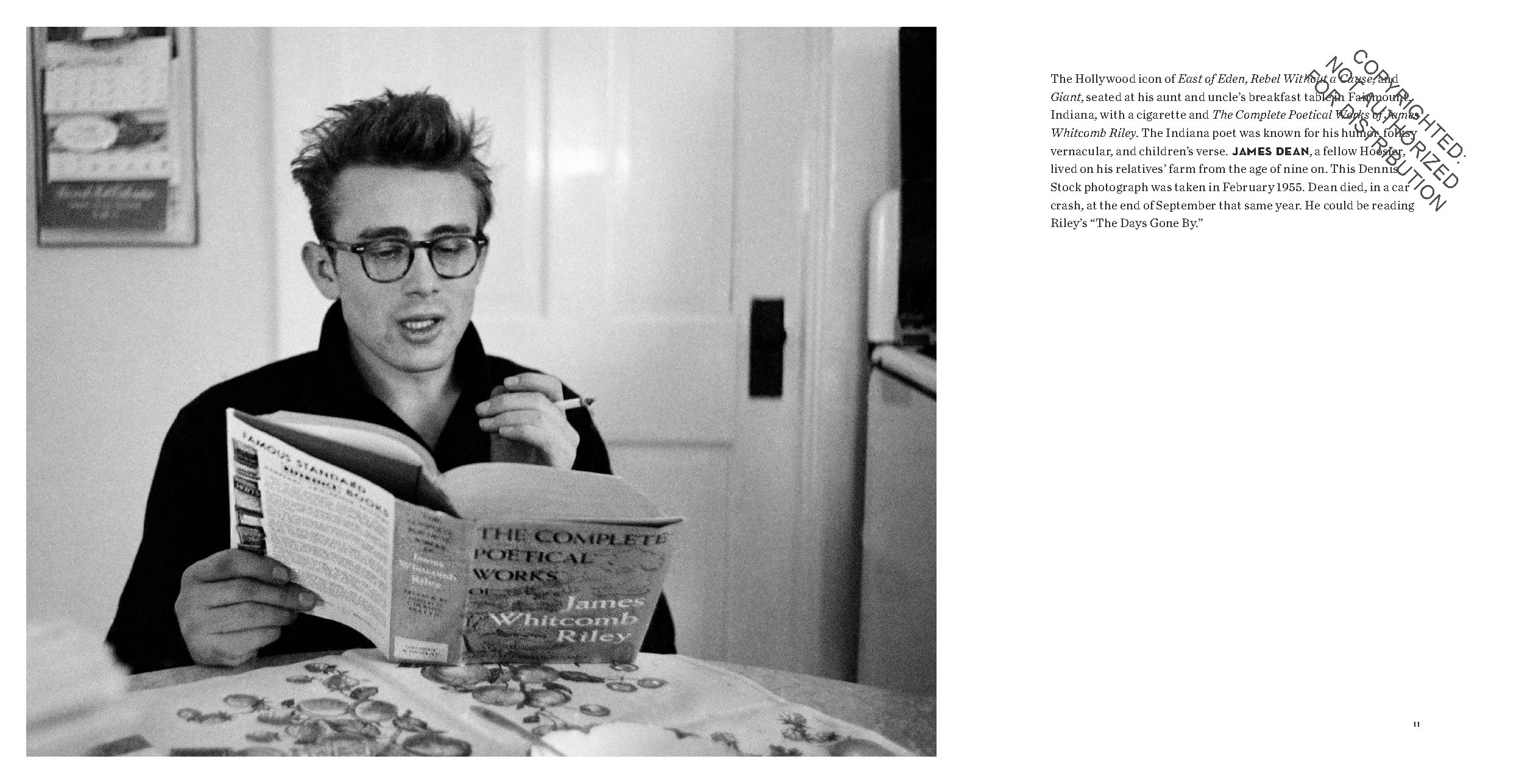 The Hollywood Book Club
