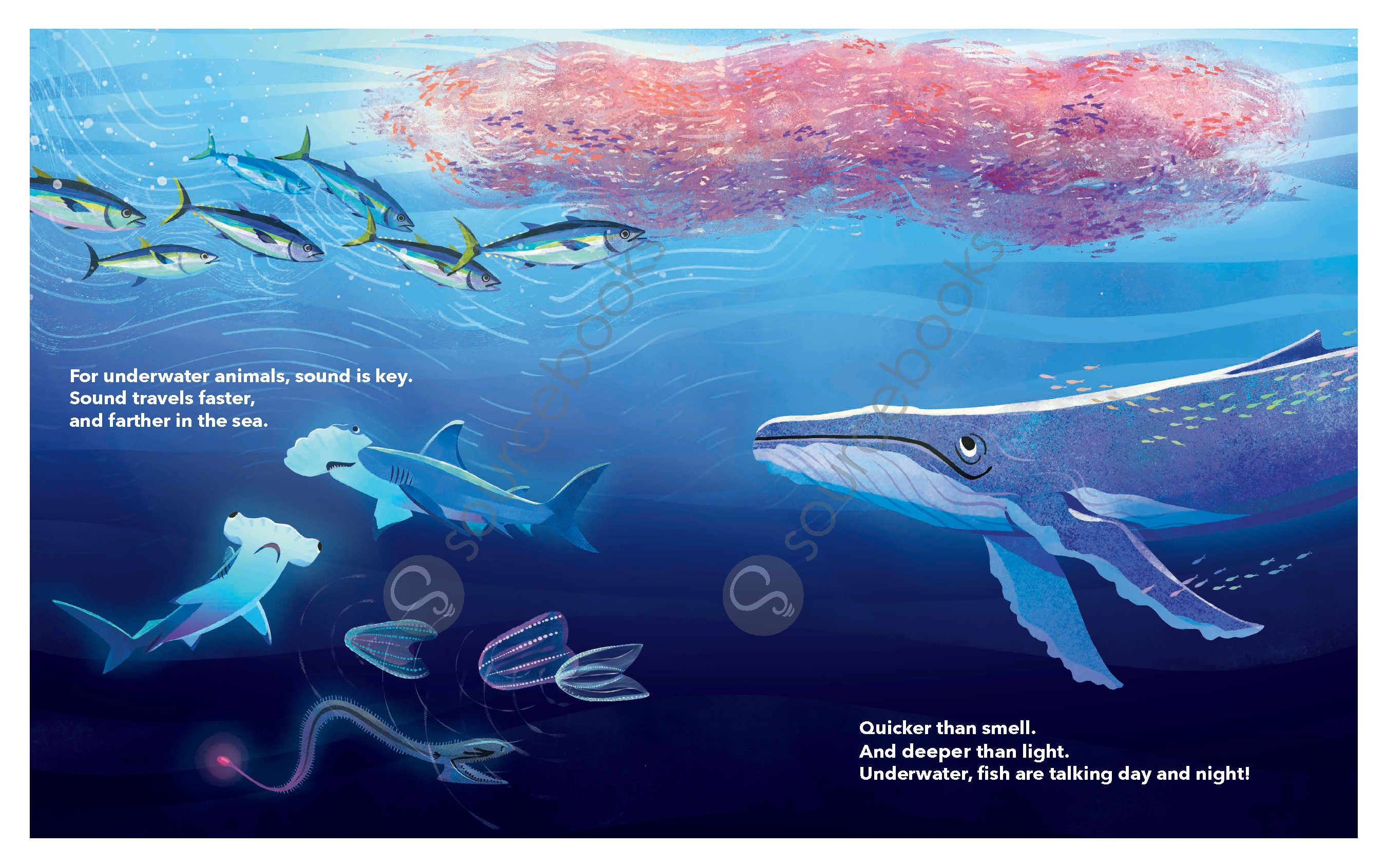 What Fish Are Saying