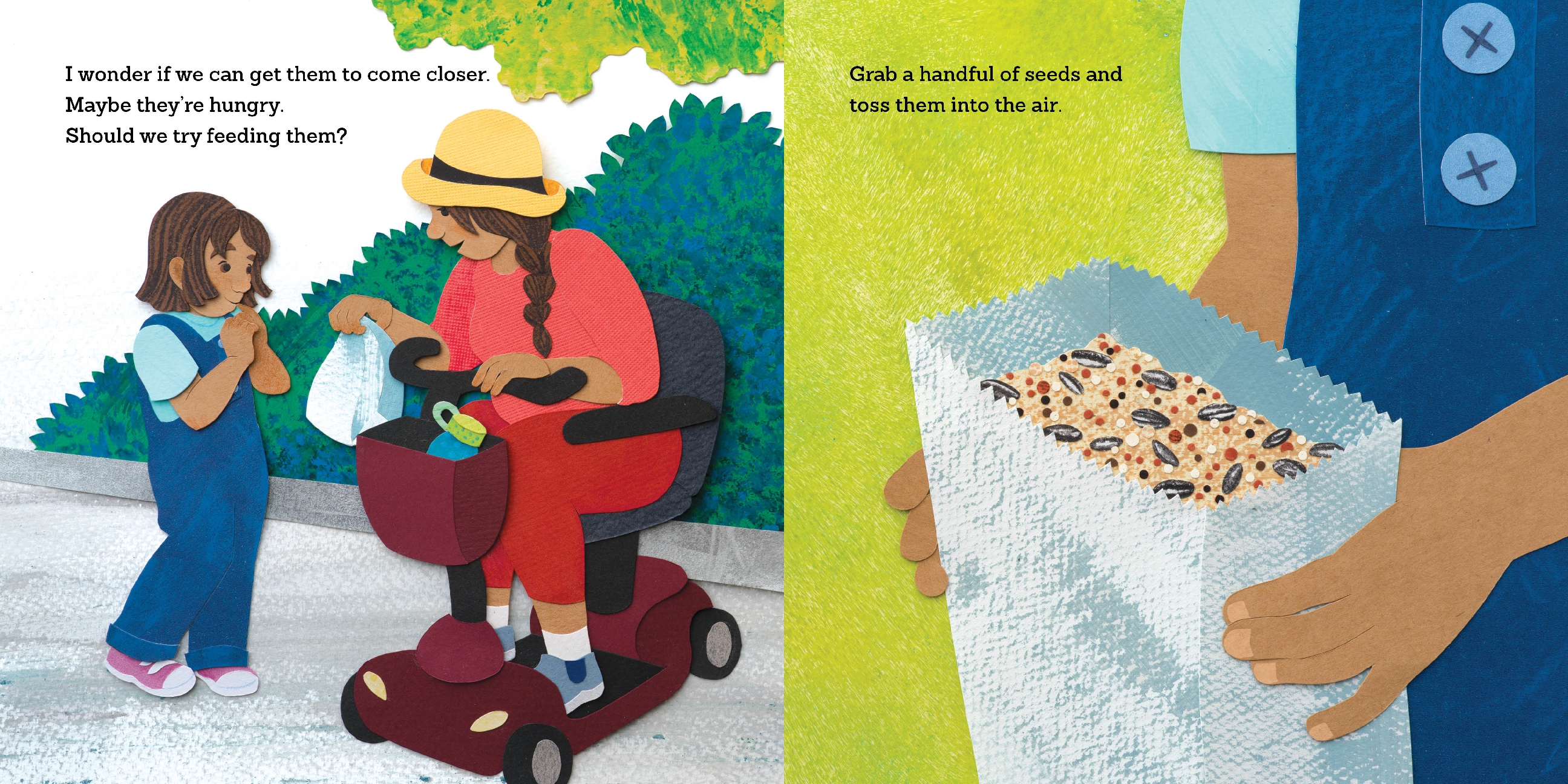 A Visit with the Birds