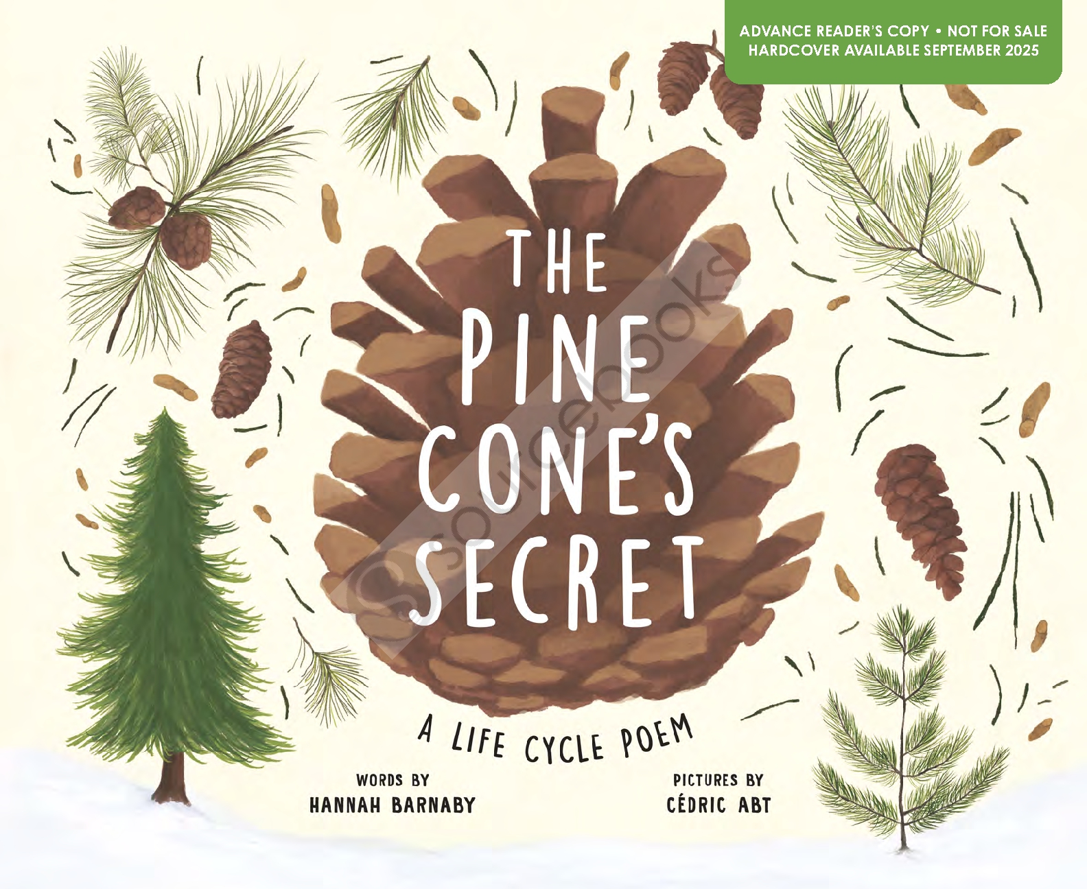 The Pine Cone's Secret