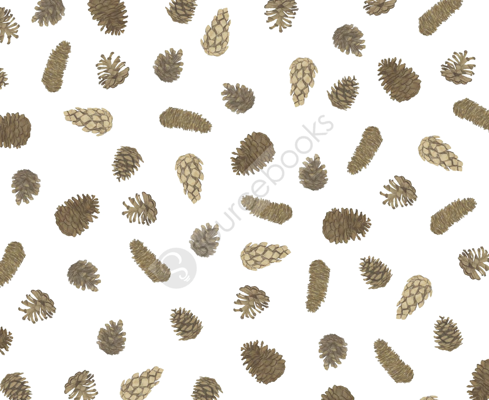 The Pine Cone's Secret