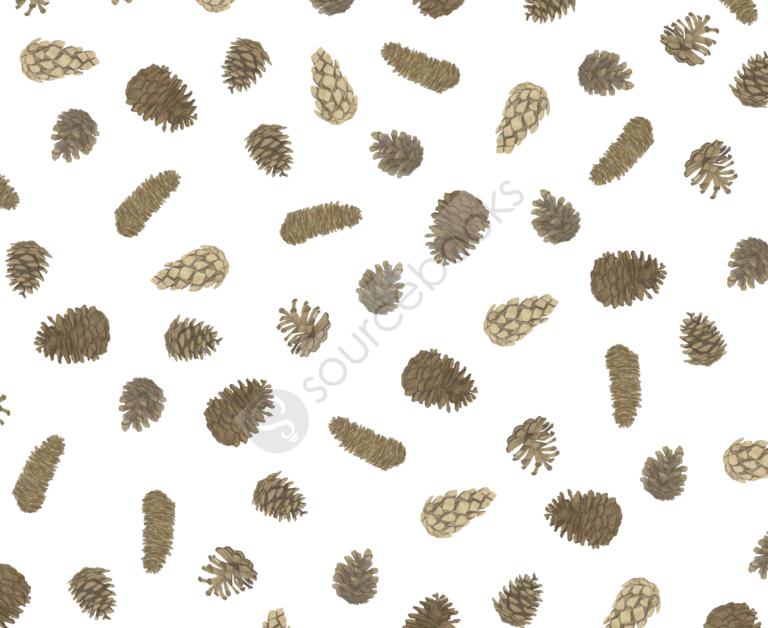 The Pine Cone's Secret