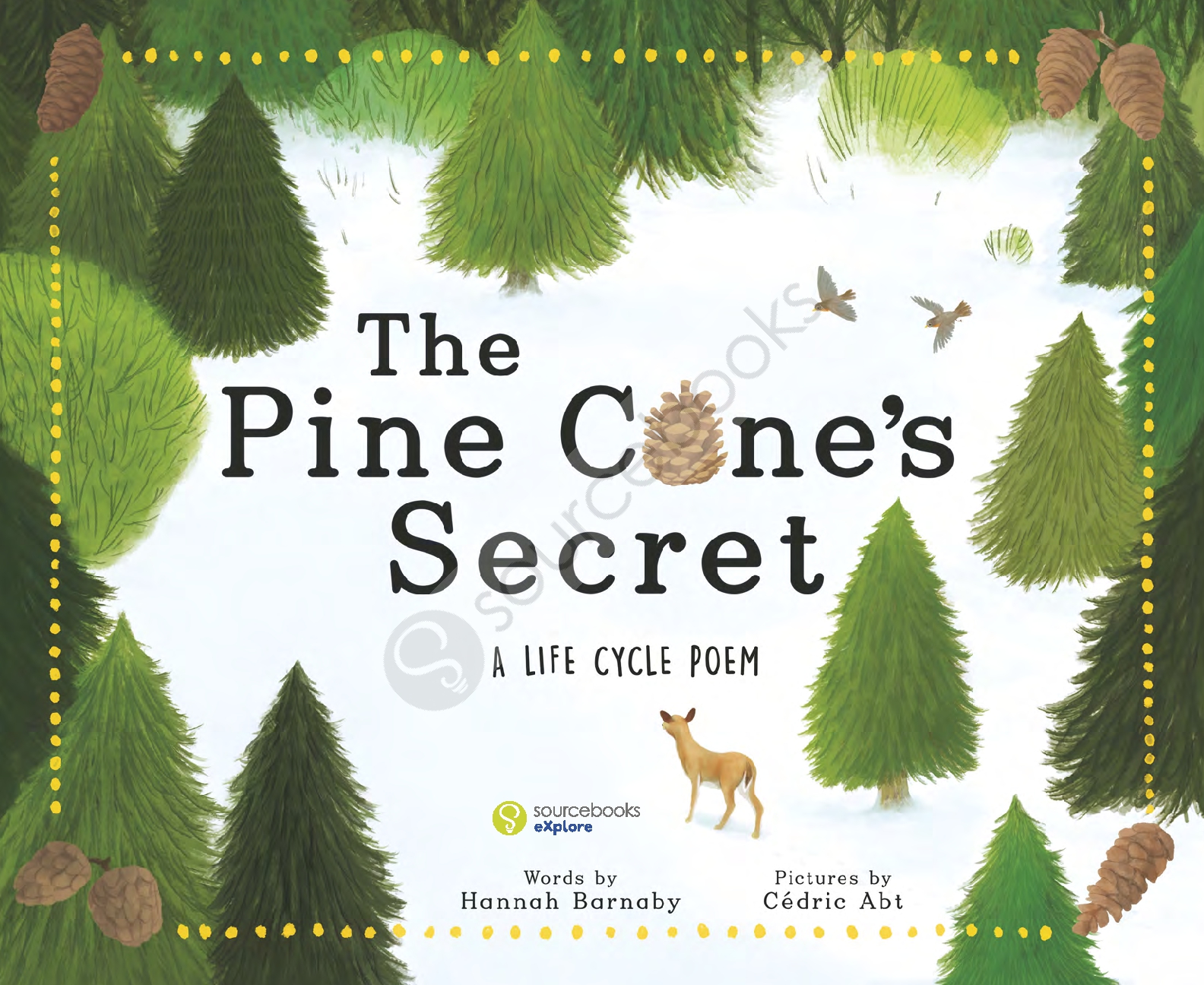 The Pine Cone's Secret