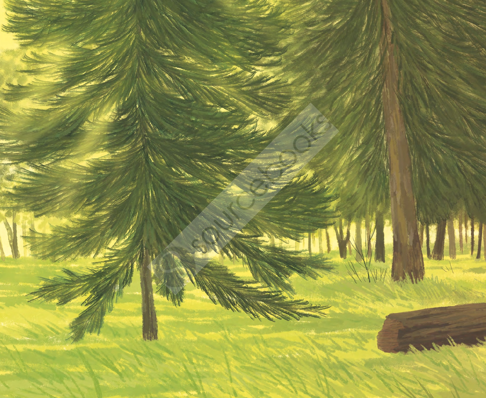 The Pine Cone's Secret