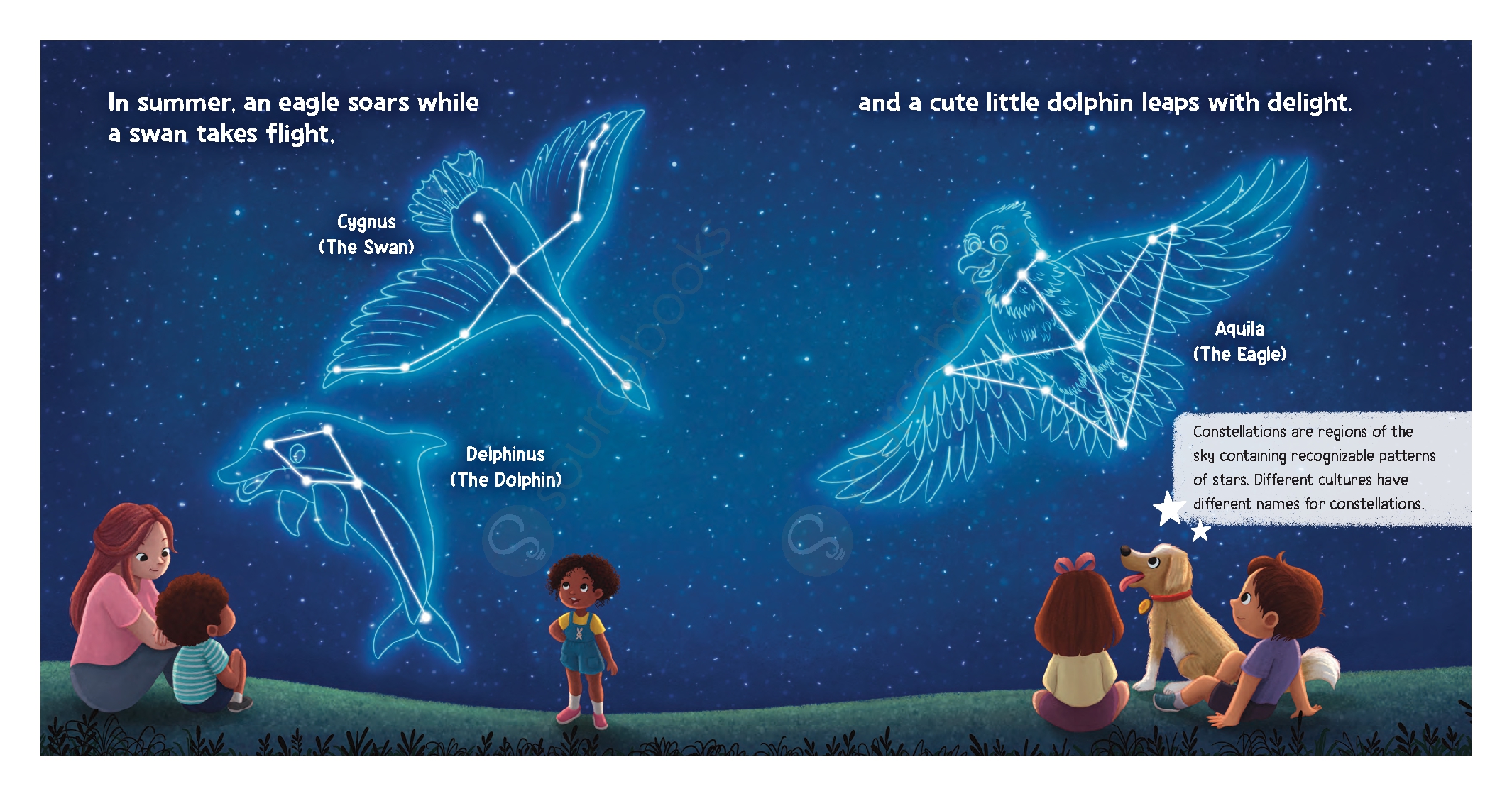 Baby's Guide to the Night Sky