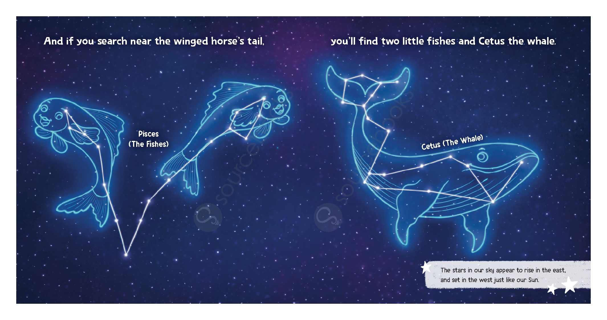 Baby's Guide to the Night Sky