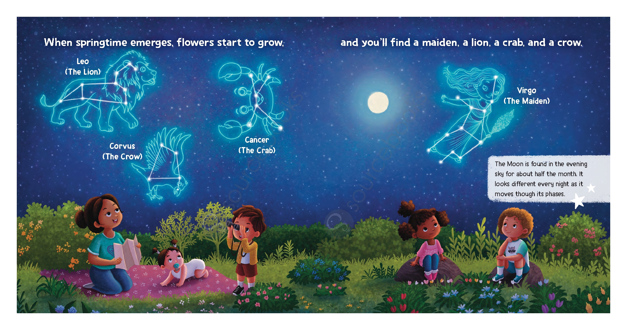 Baby's Guide to the Night Sky