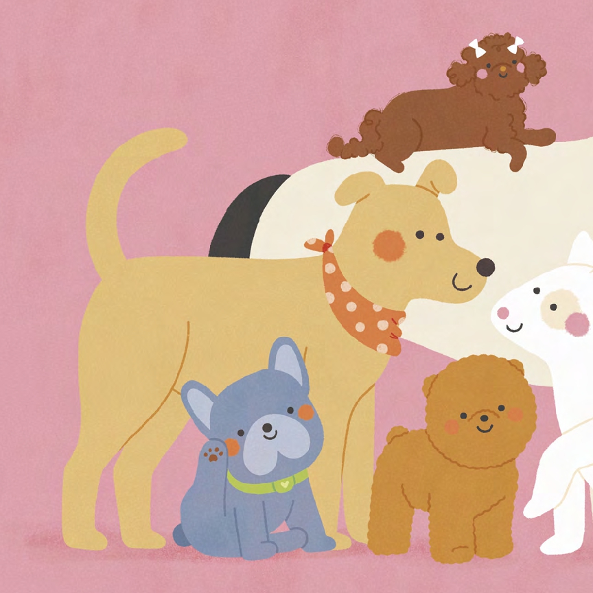 Doggies: A Book of Shapes