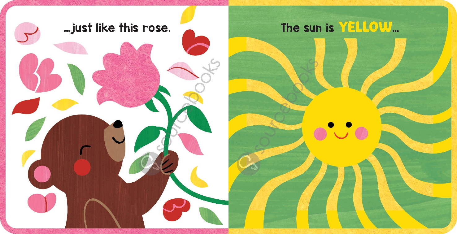 Gentle Bear