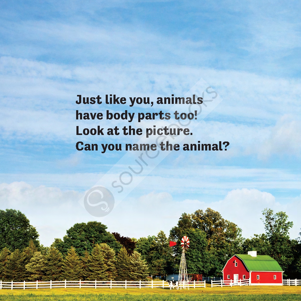 What Butt? Farm Animals