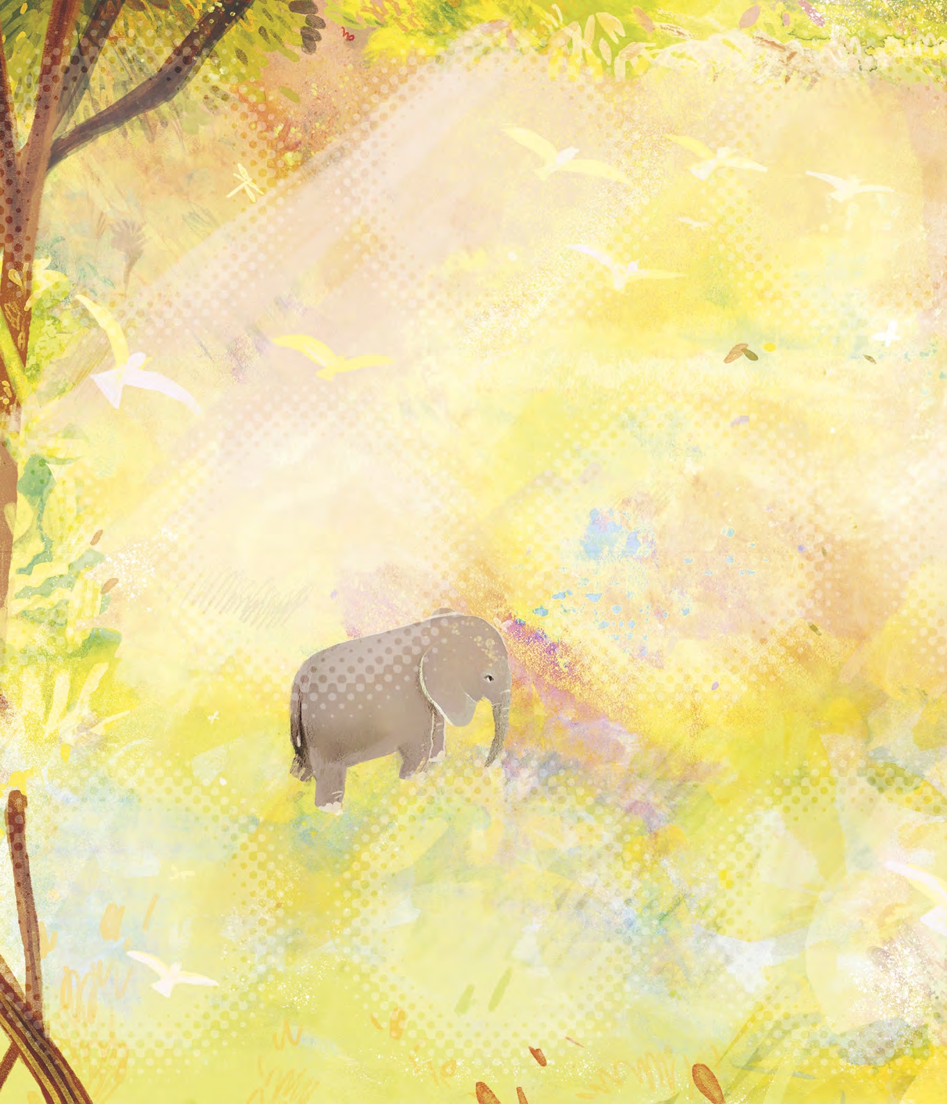 The Elephant and the Piano