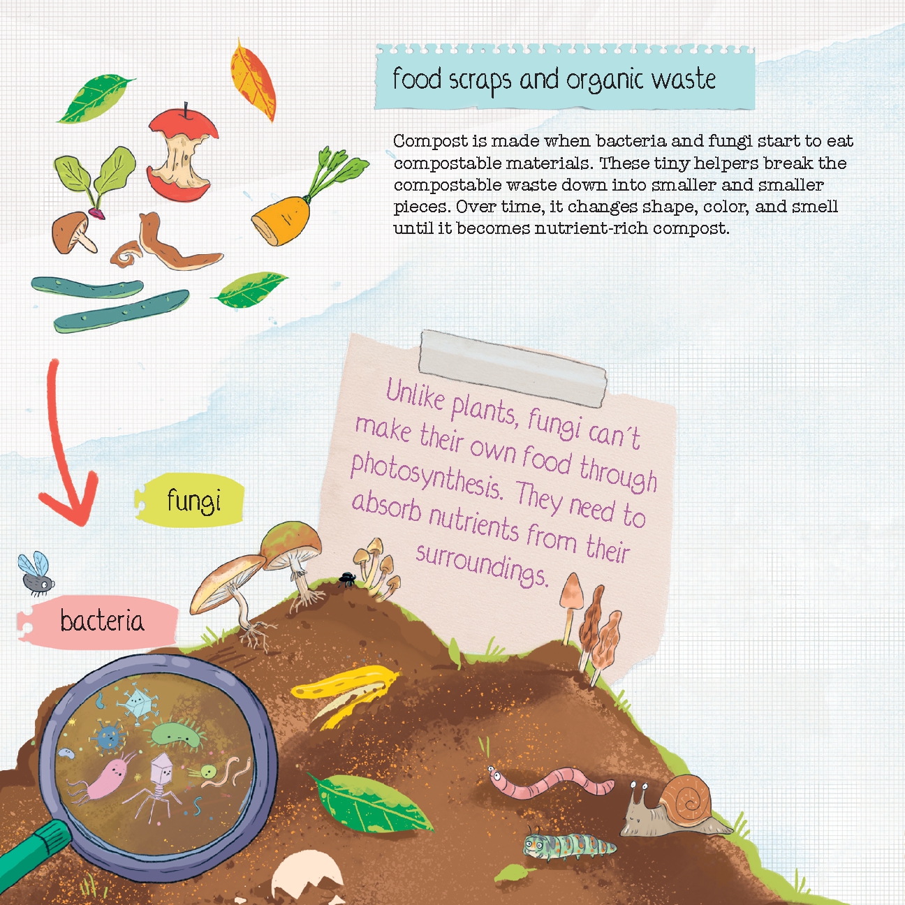 How Does Garbage Turn into a Garden?