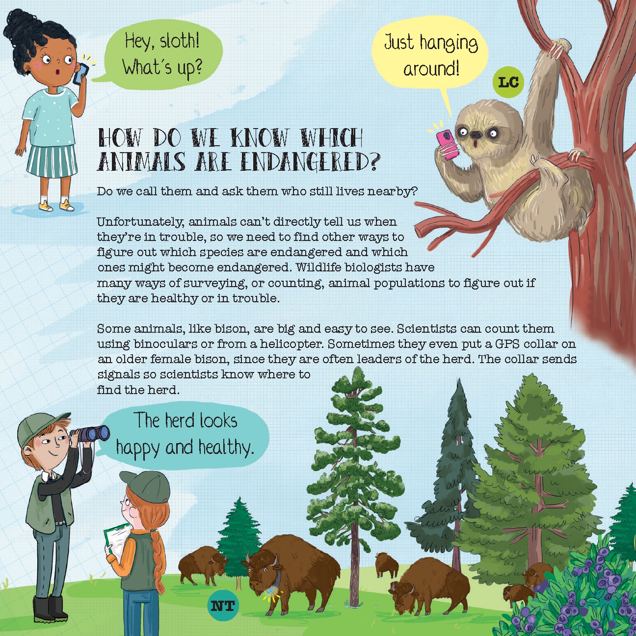 How Do Animals Disappear?