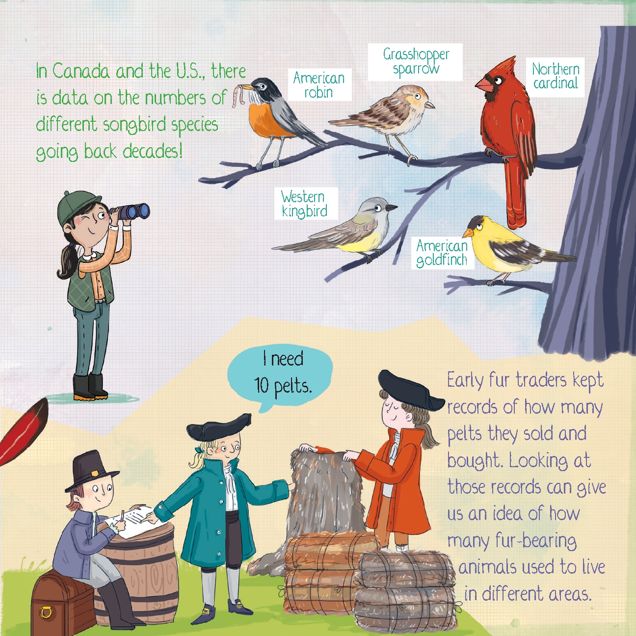 How Do Animals Disappear?