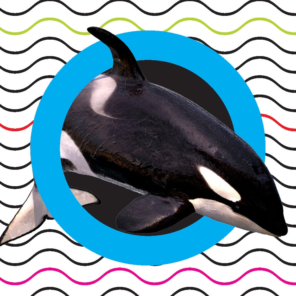 Waddle! Moo! Splash!