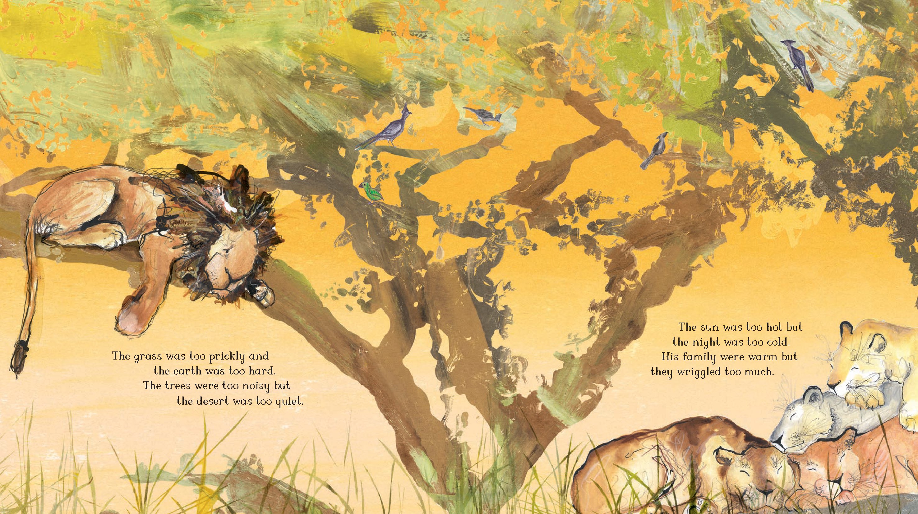 Arlo The Lion Who Couldn't Sleep