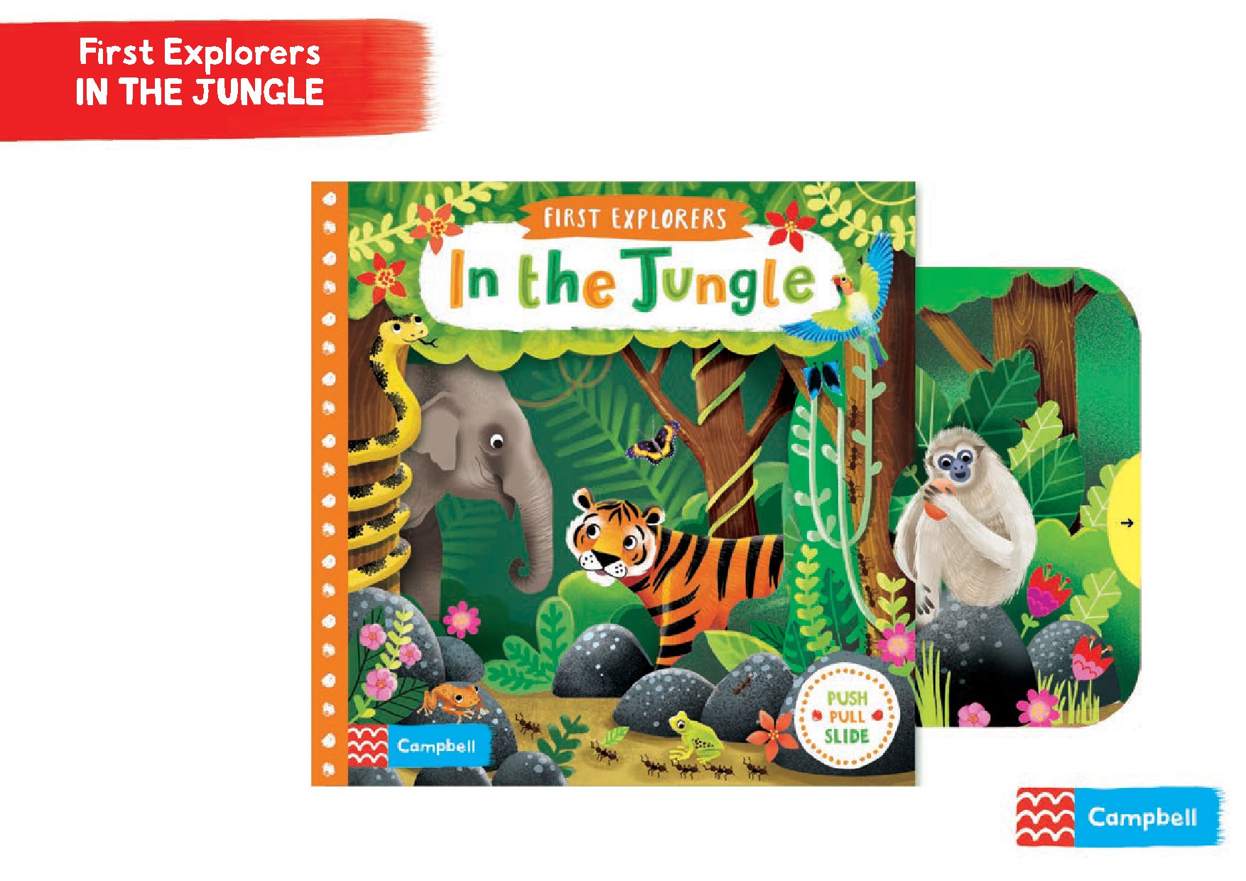 First Explorers: In the Jungle