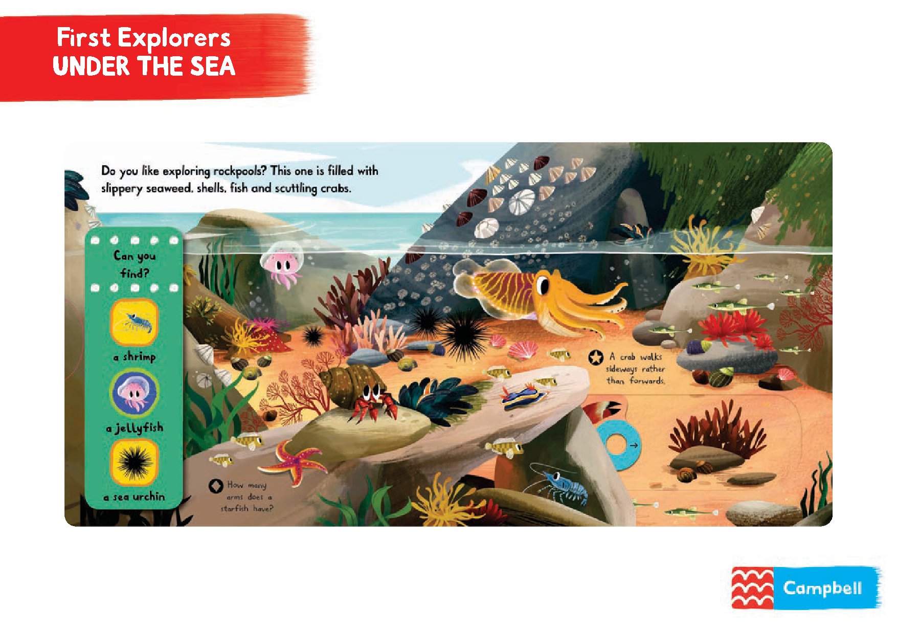 First Explorers: Sea Creatures