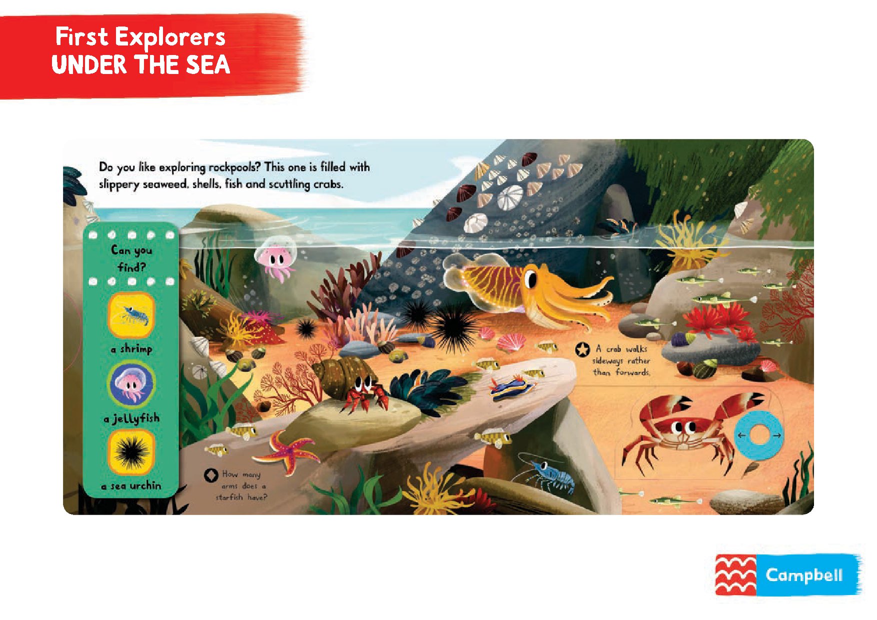 First Explorers: Sea Creatures