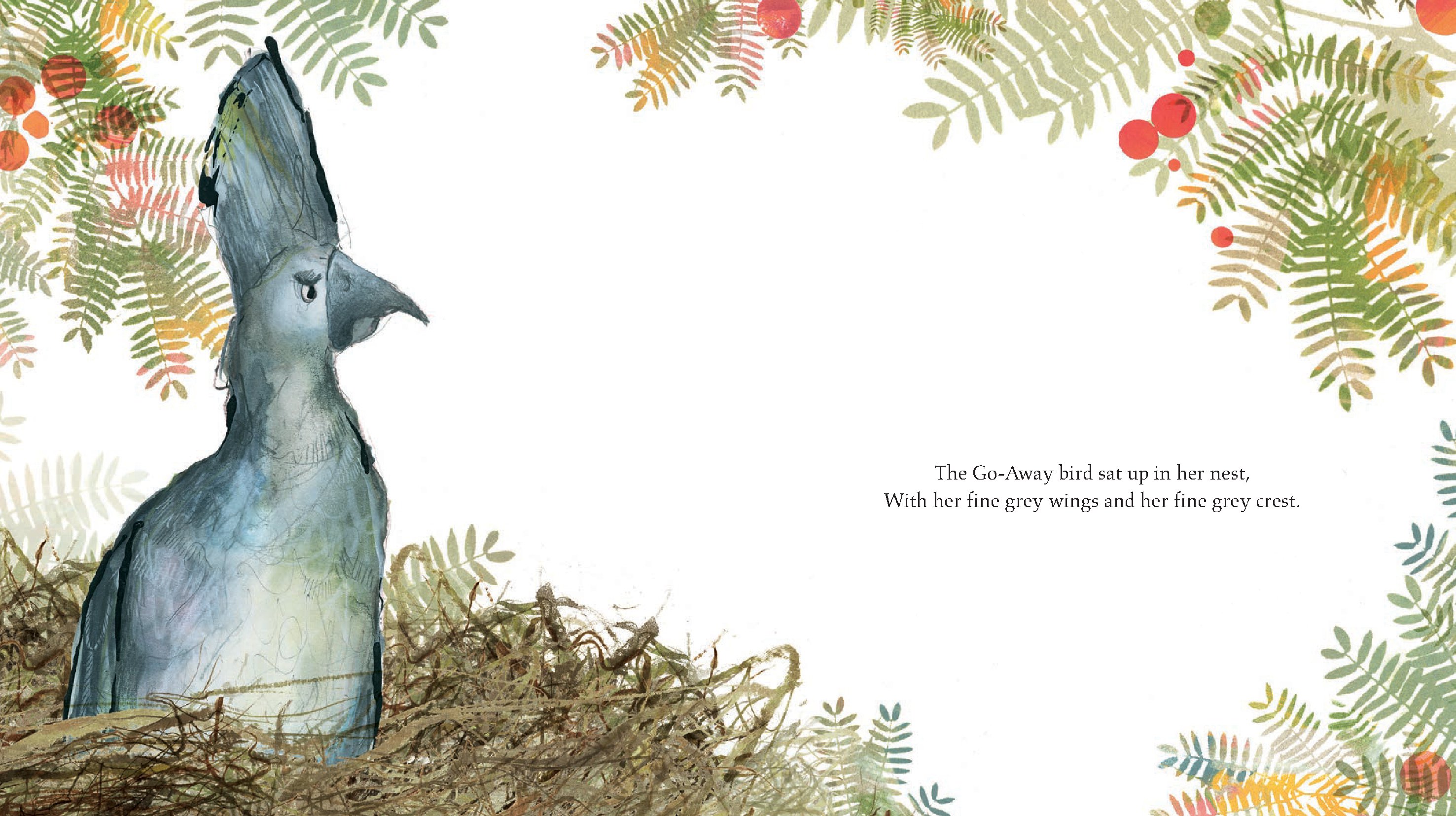 The Go-Away Bird