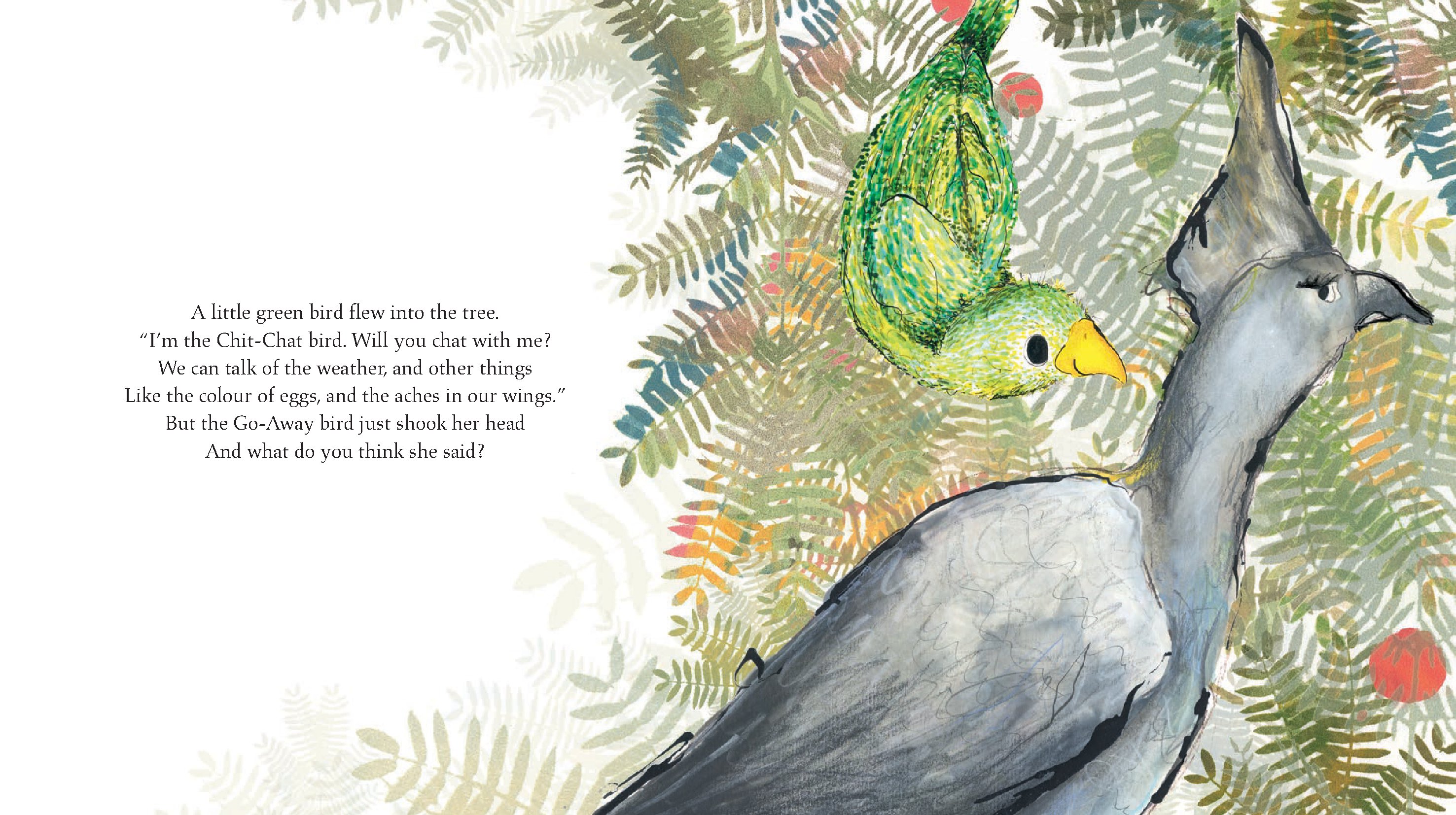 The Go-Away Bird