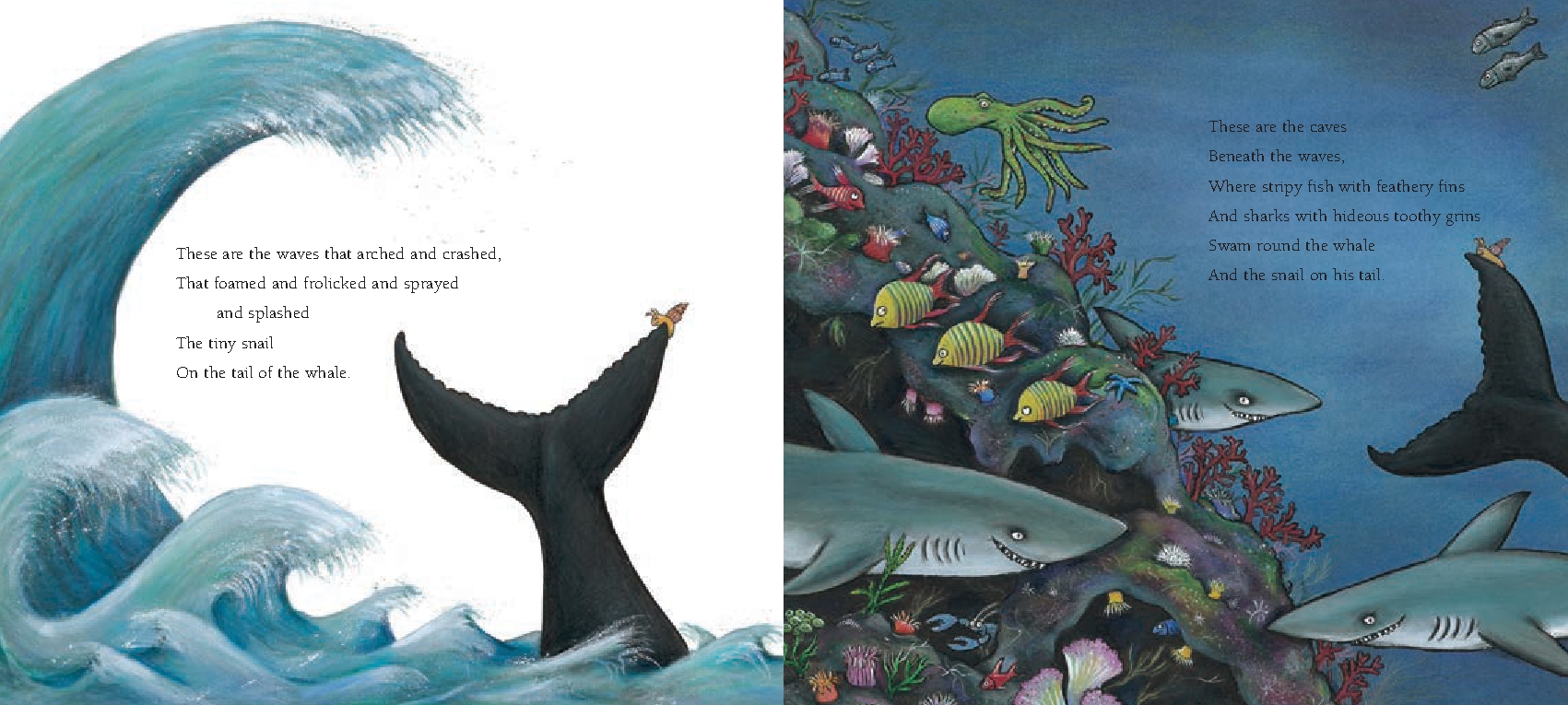 The Snail and the Whale