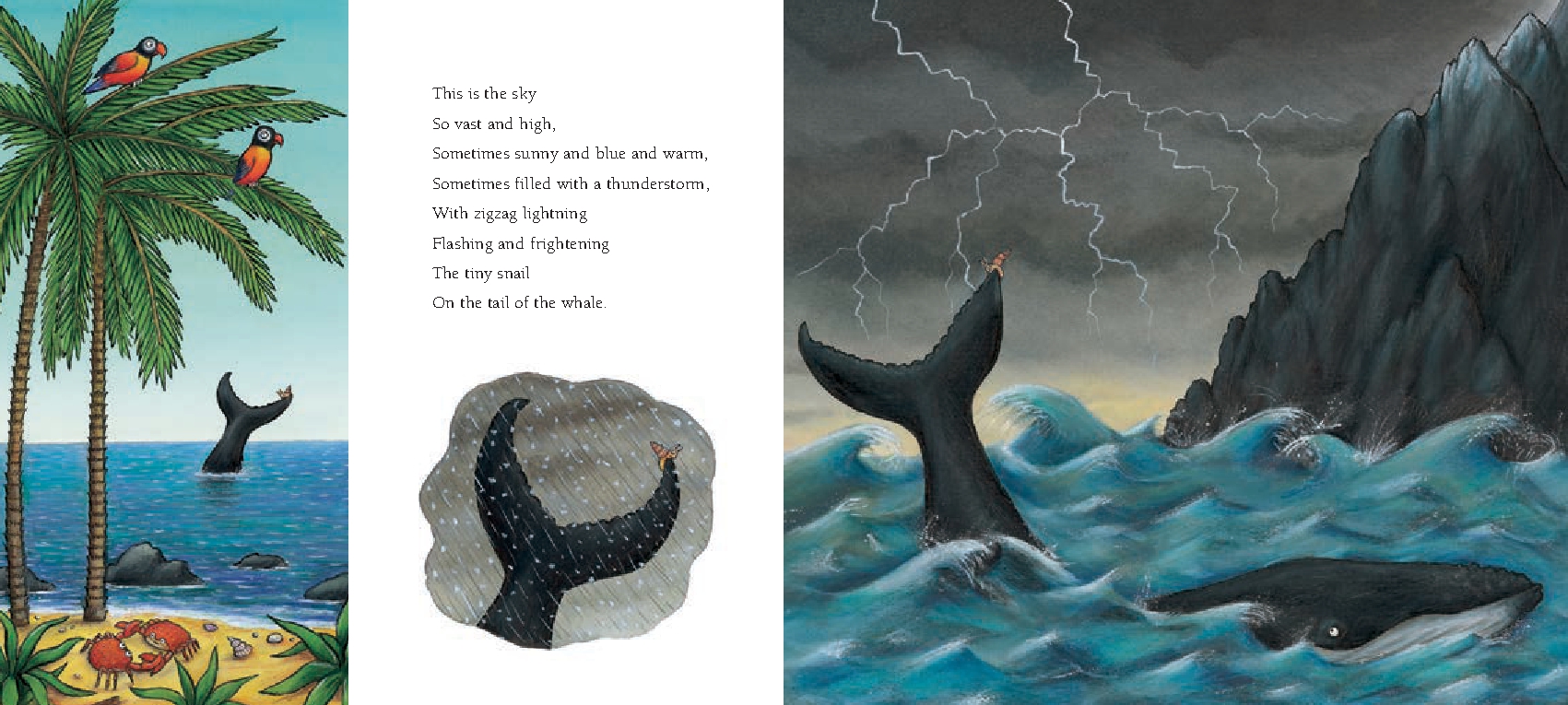 The Snail and the Whale