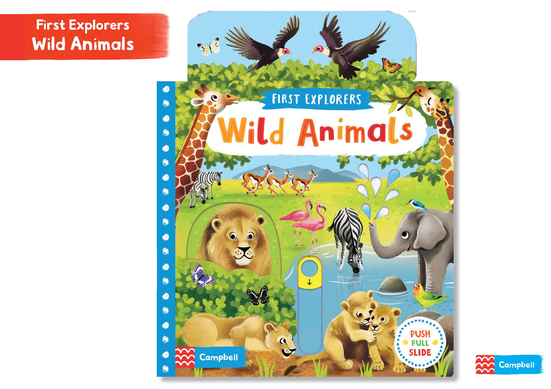 First Explorers: Wild Animals