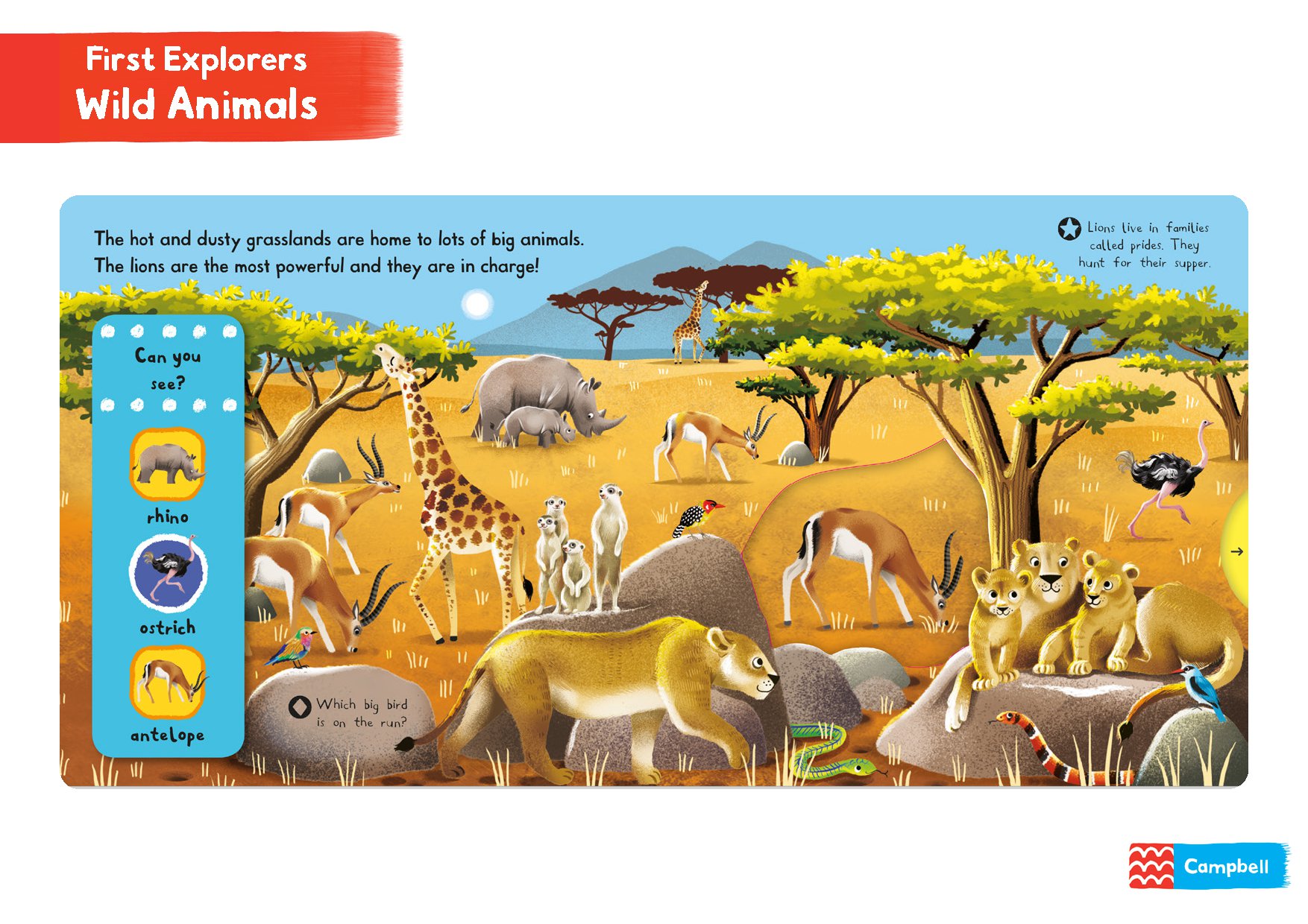 First Explorers: Wild Animals