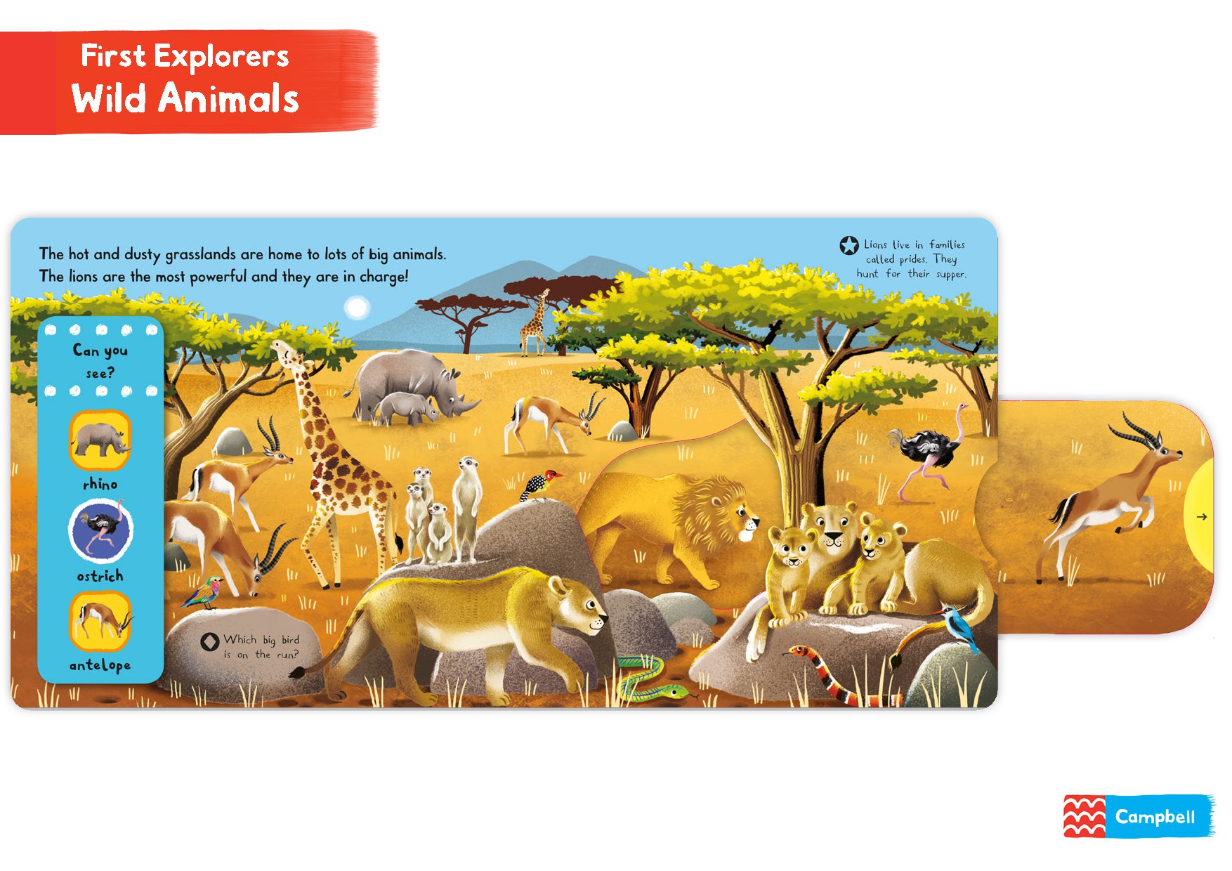 First Explorers: Wild Animals