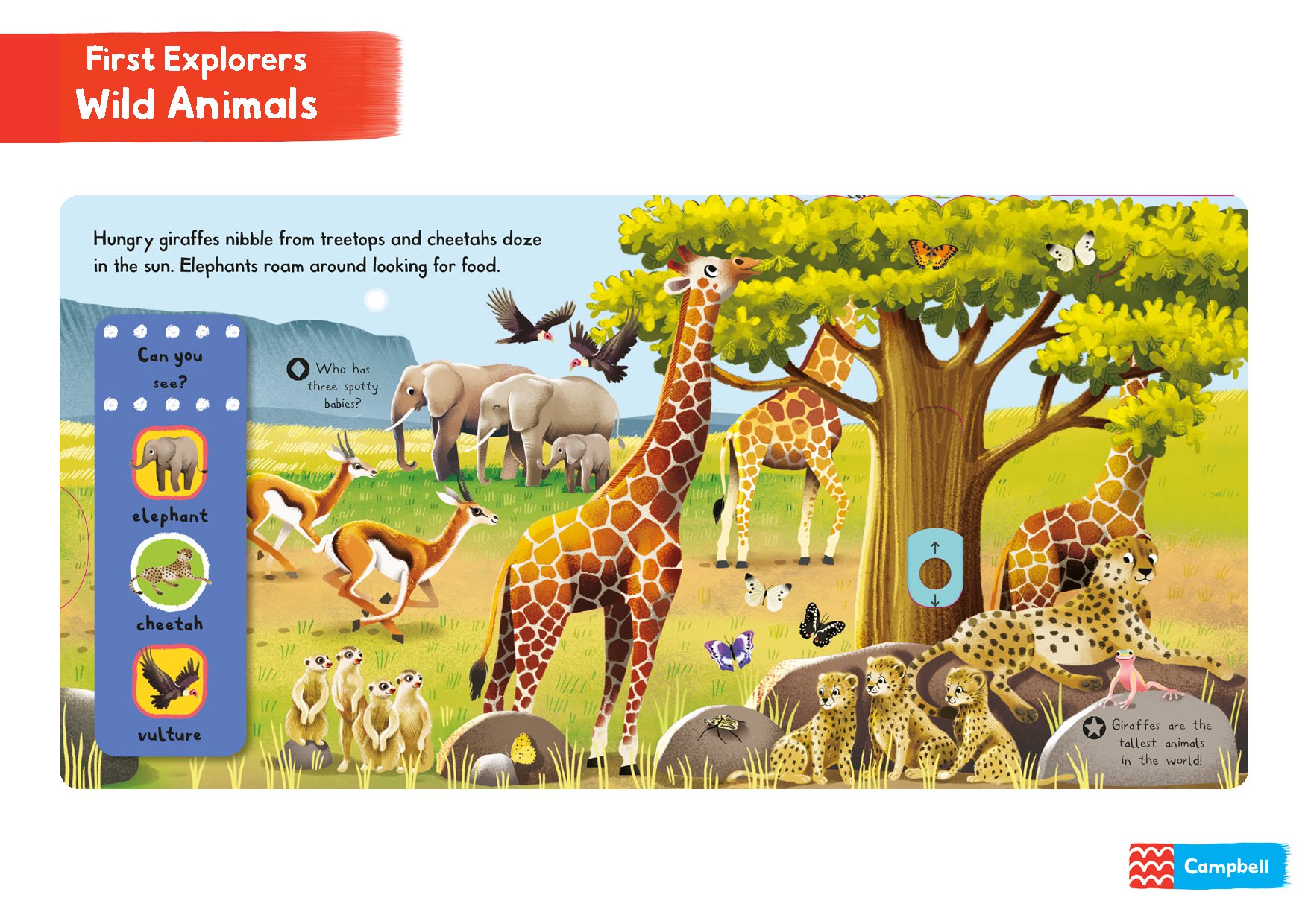 First Explorers: Wild Animals