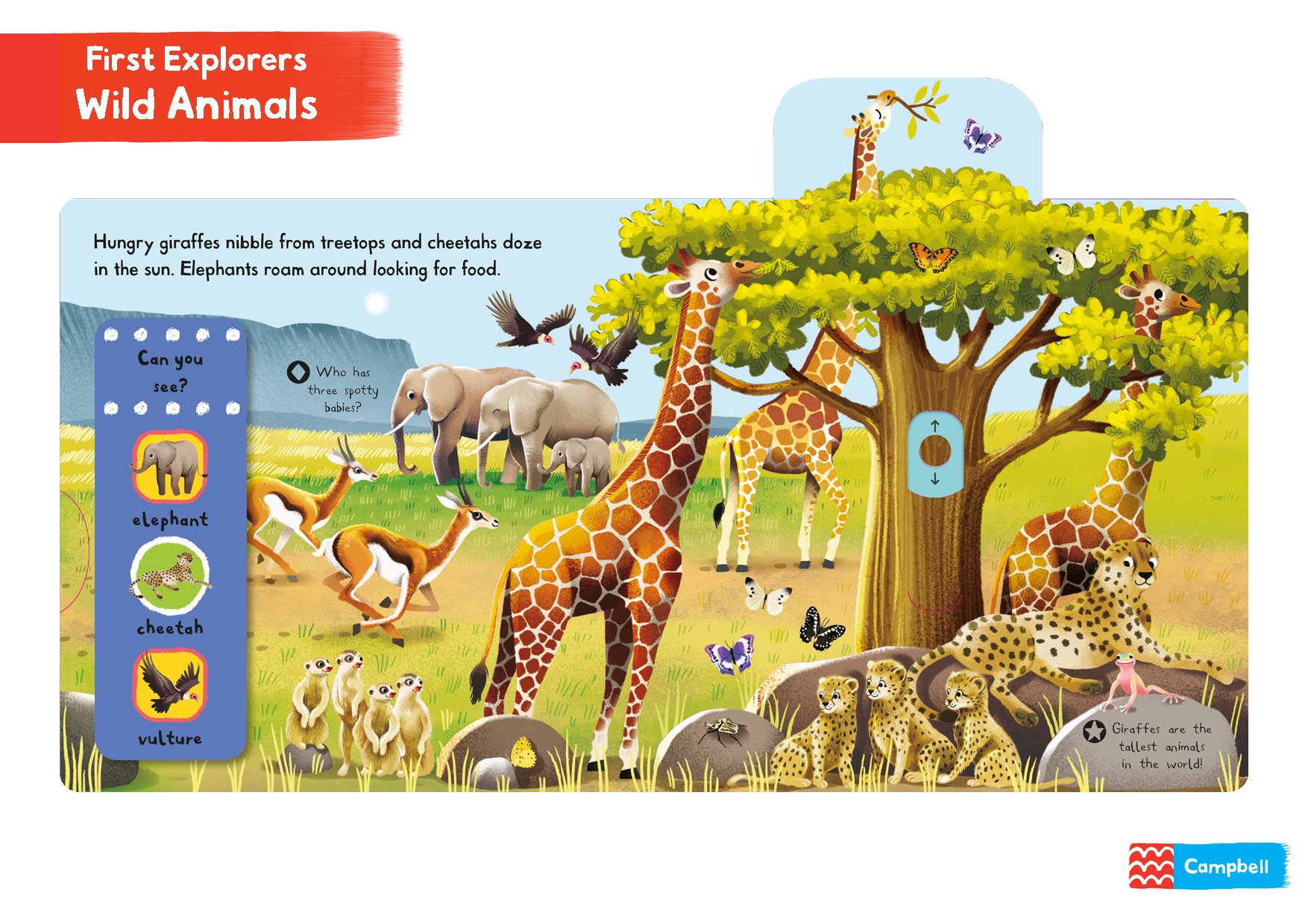First Explorers: Wild Animals