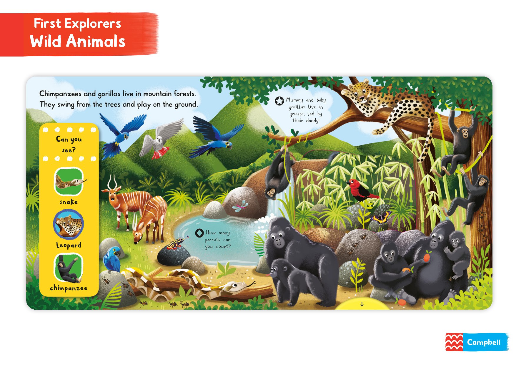 First Explorers: Wild Animals
