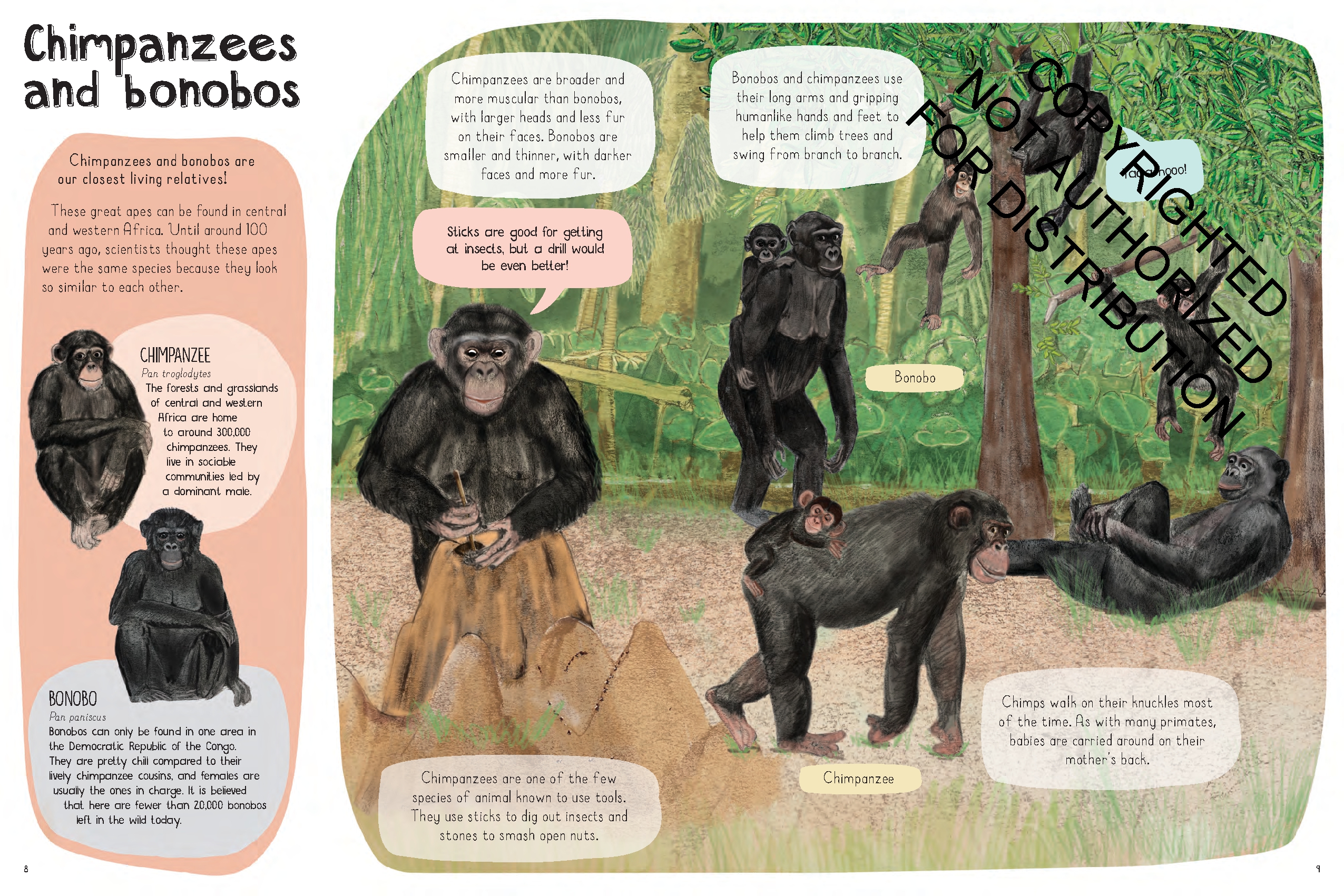 A Book of Monkeys (and other Primates)
