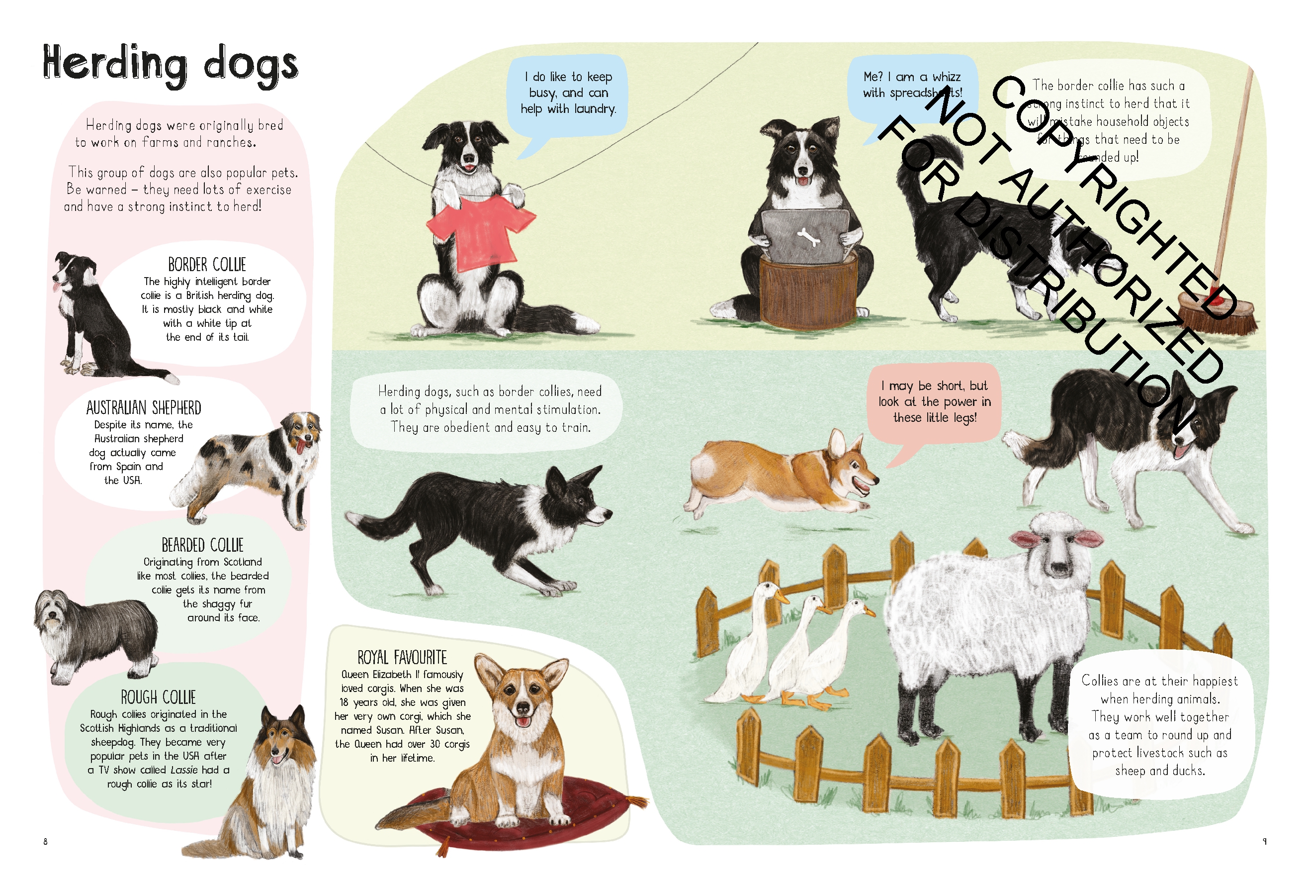 A Book of Dogs (and other canines)