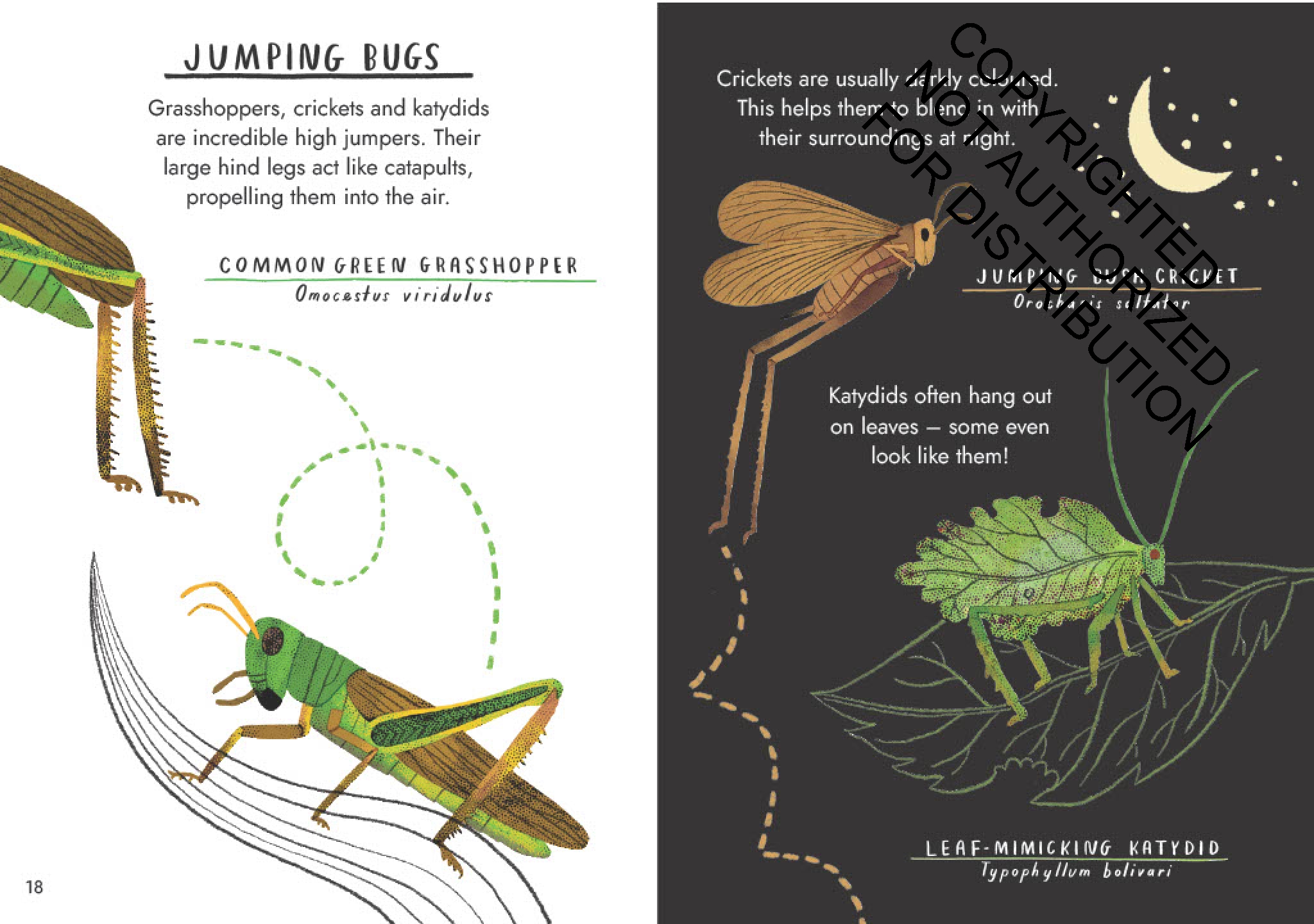 Little Guides to Nature: Hello Bugs