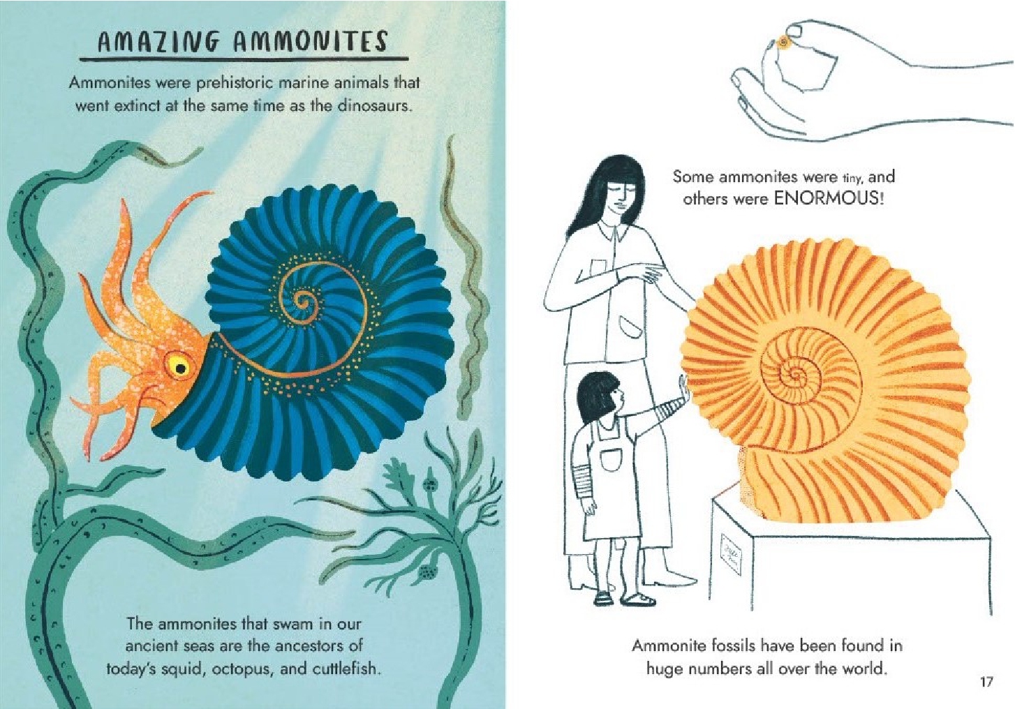 Little Guides to Nature: Hello Fossils and Shells