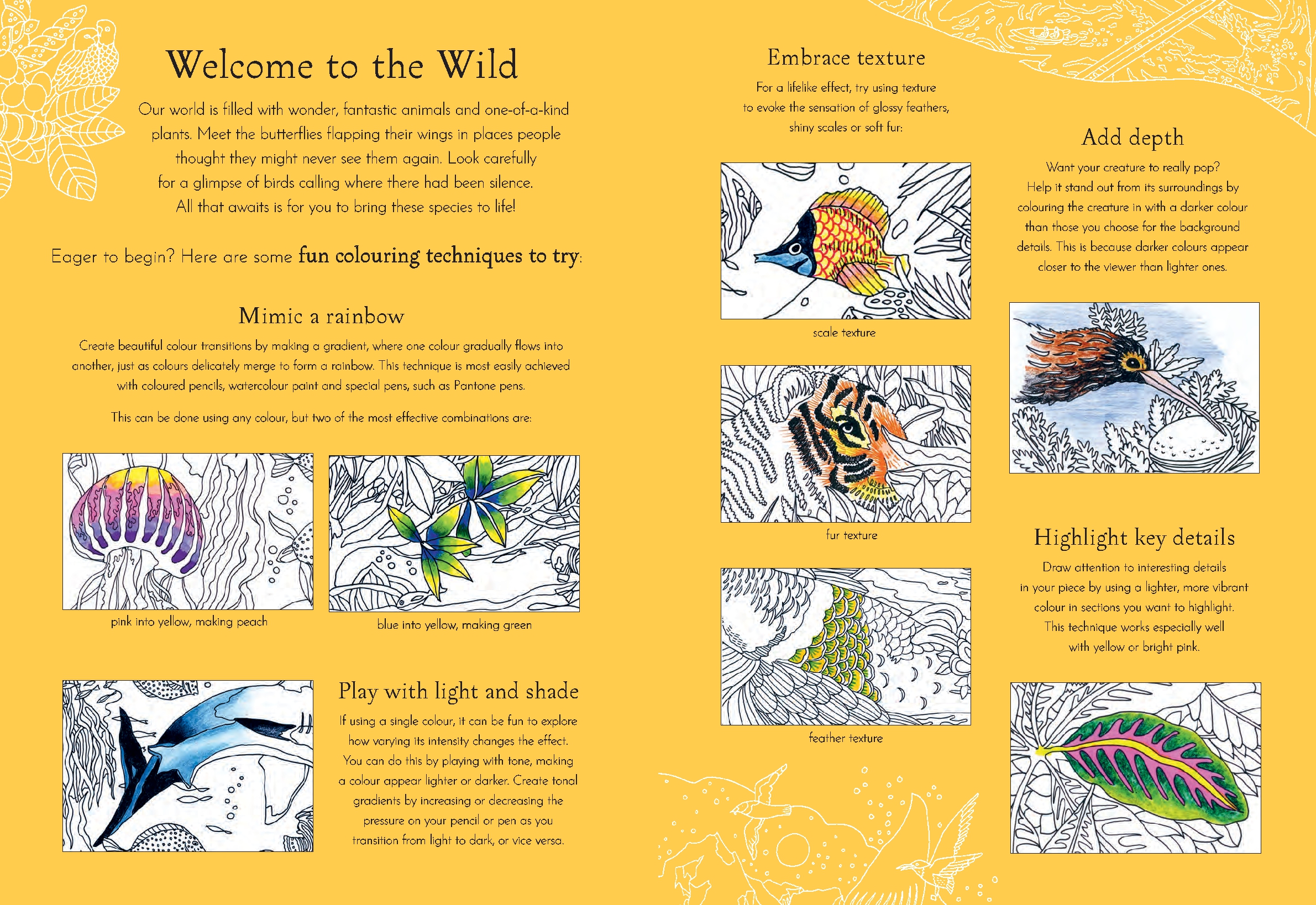 Return of the Wild Coloring Book