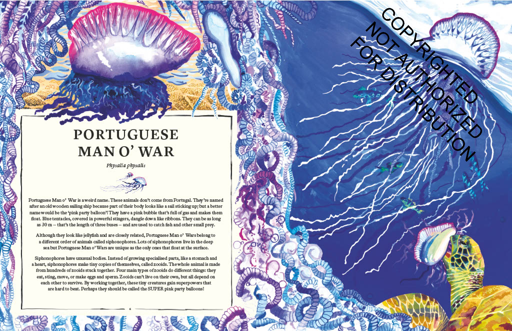 Oceanopedia