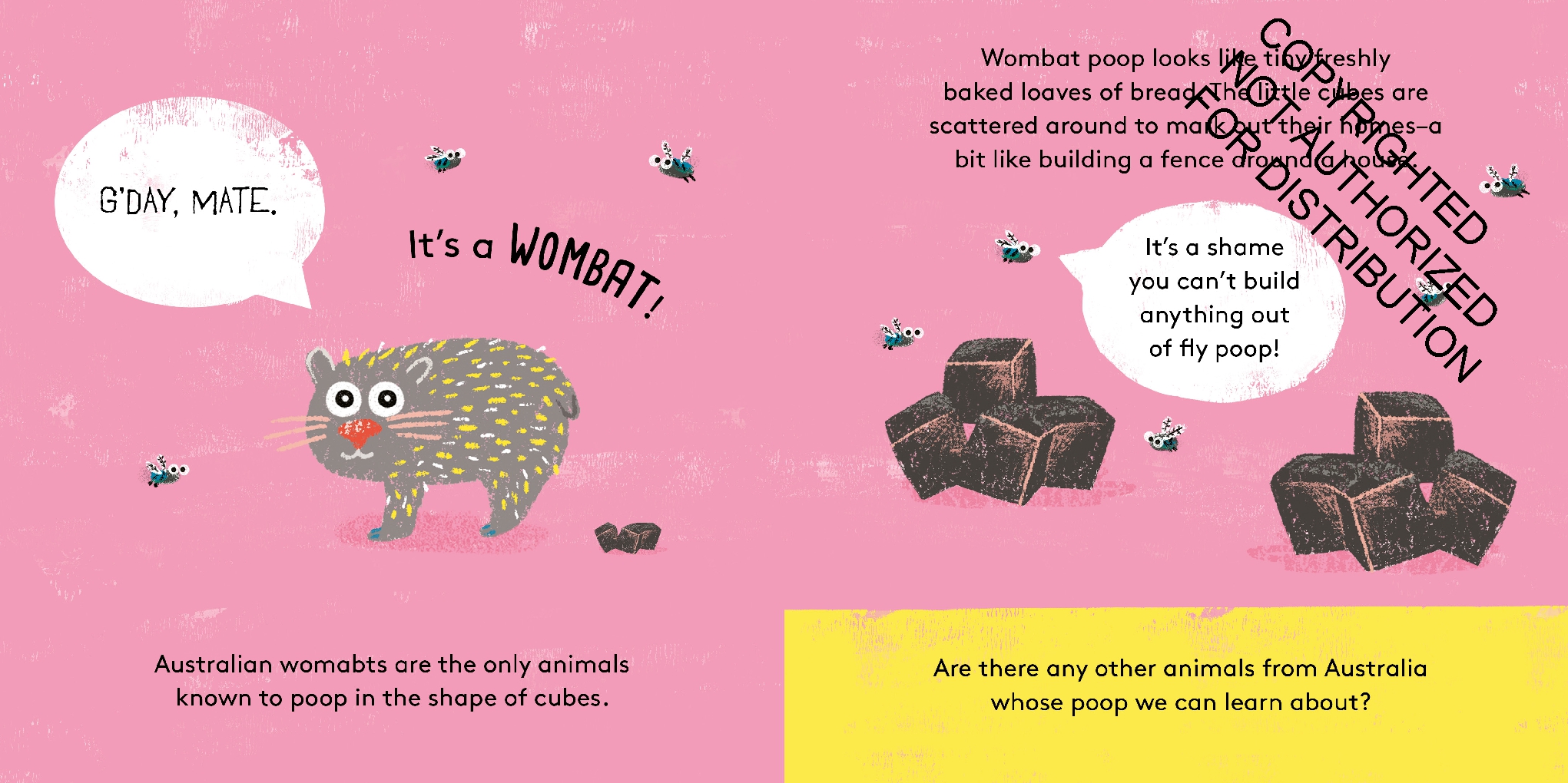 Who Pooped?
