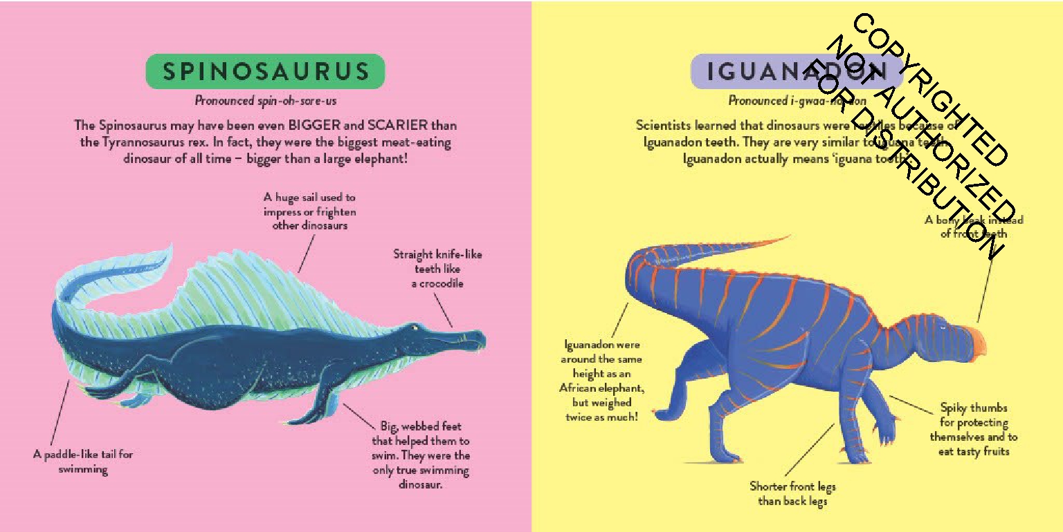 My First Dinosaur Book