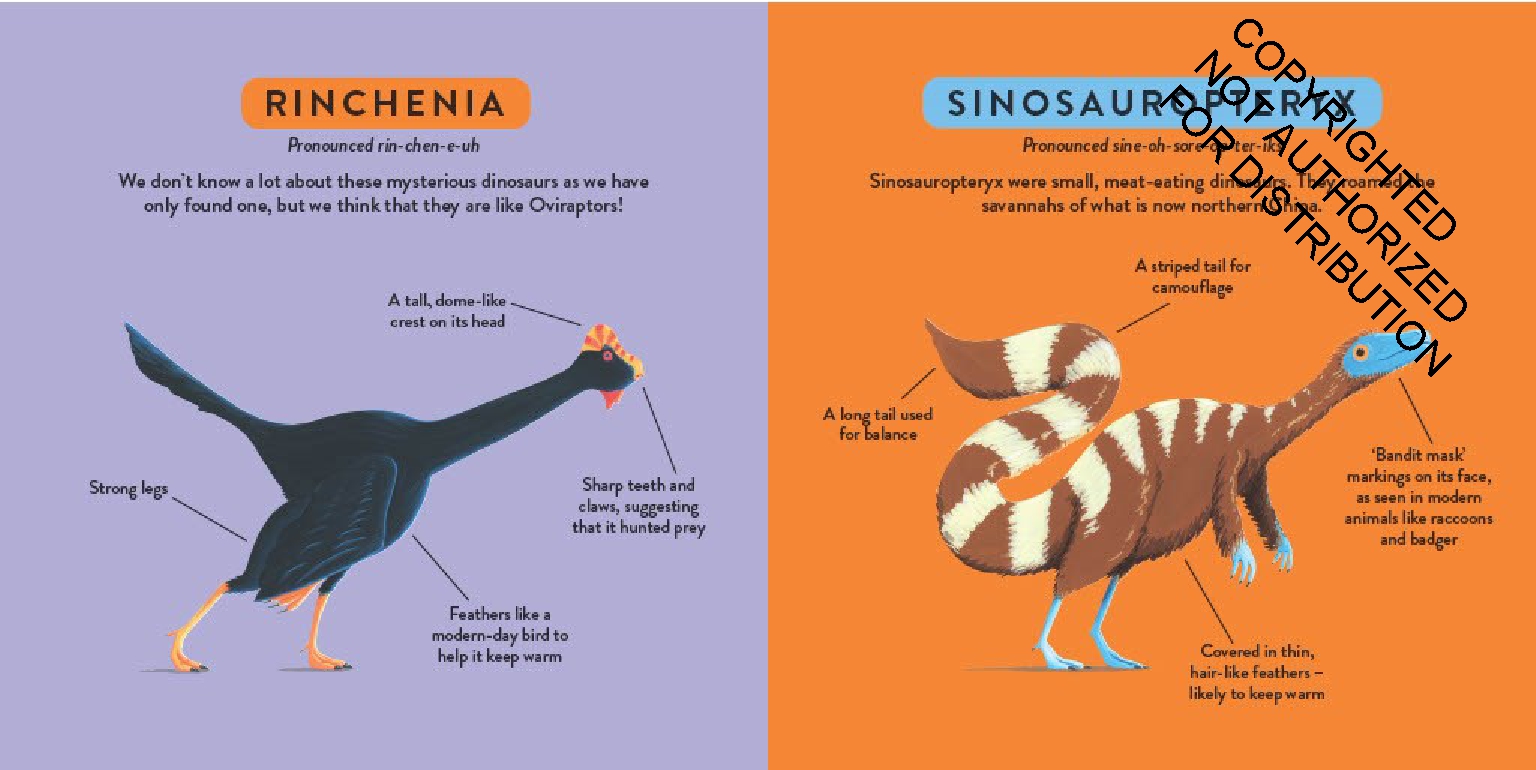 My First Dinosaur Book