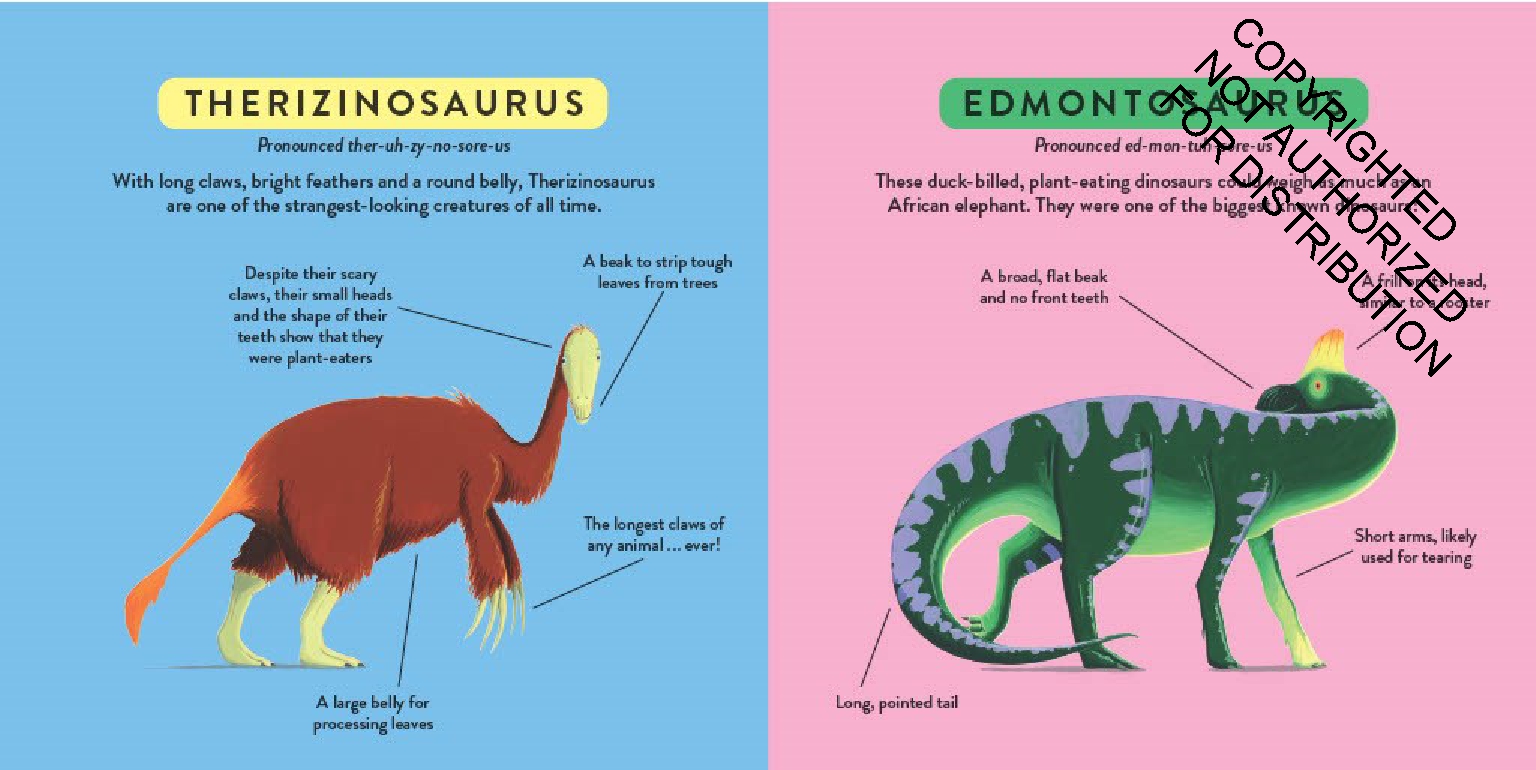 My First Dinosaur Book