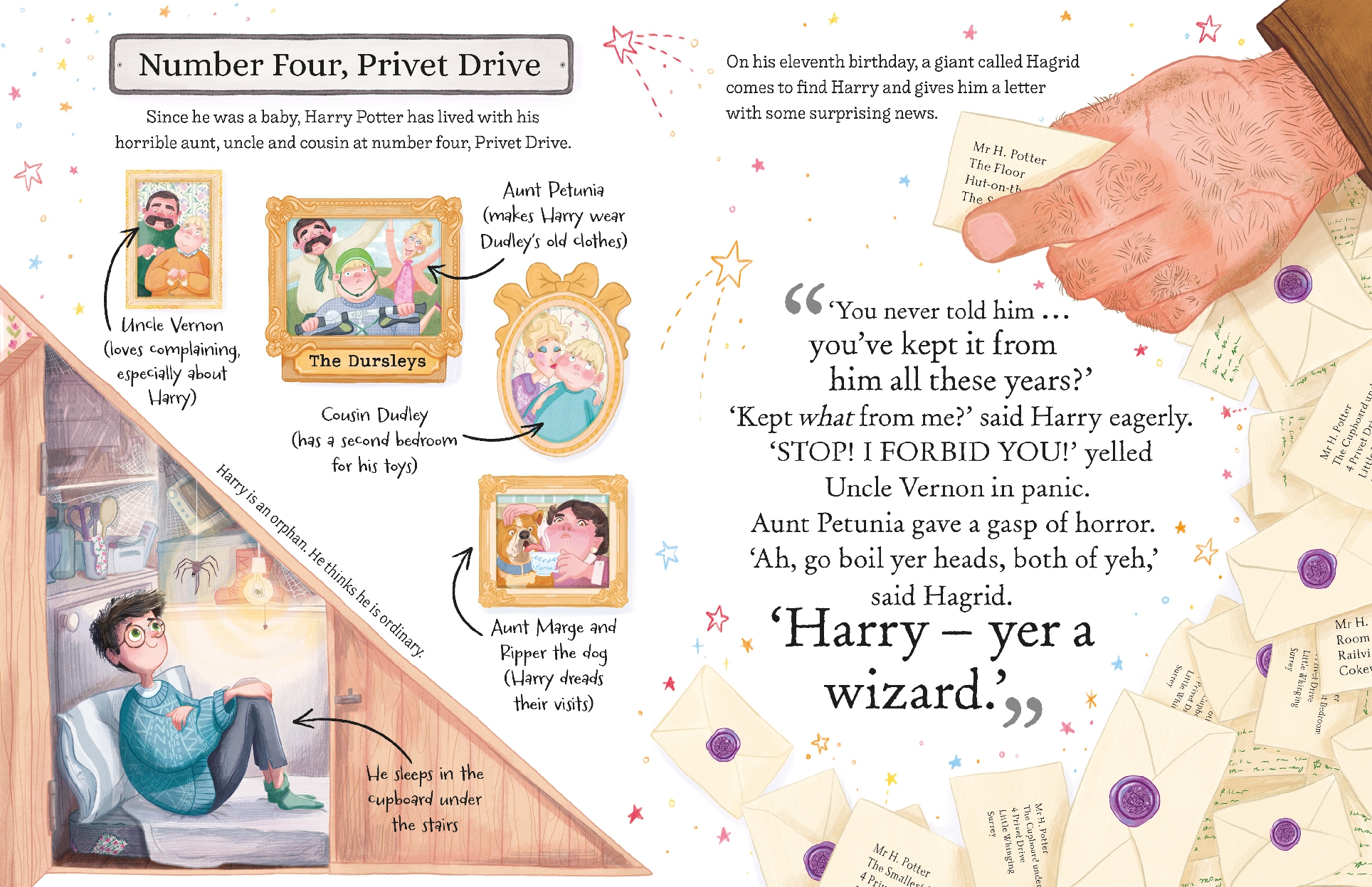 Harry Potter (Pocket Potters - Little Guides to the HARRY POTTER Stories)