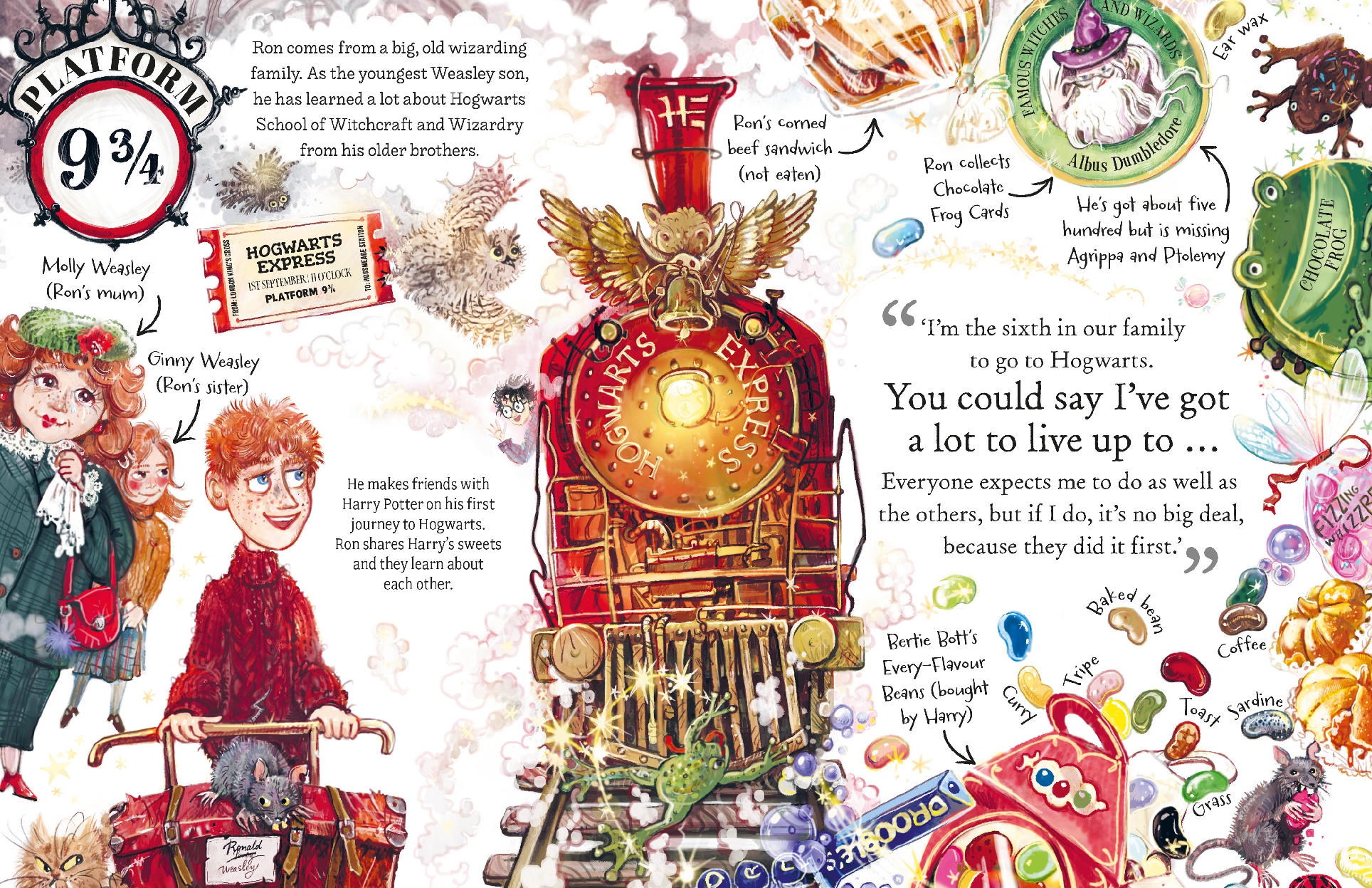 Ron Weasley (Pocket Potters - Little Guides to the HARRY POTTER Stories)