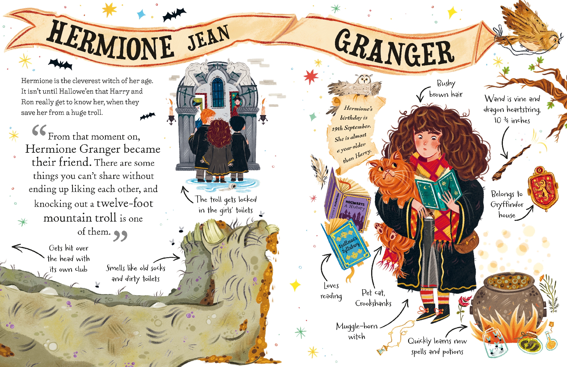 Hermione Granger (Pocket Potters - Little Guides to the HARRY POTTER Stories)