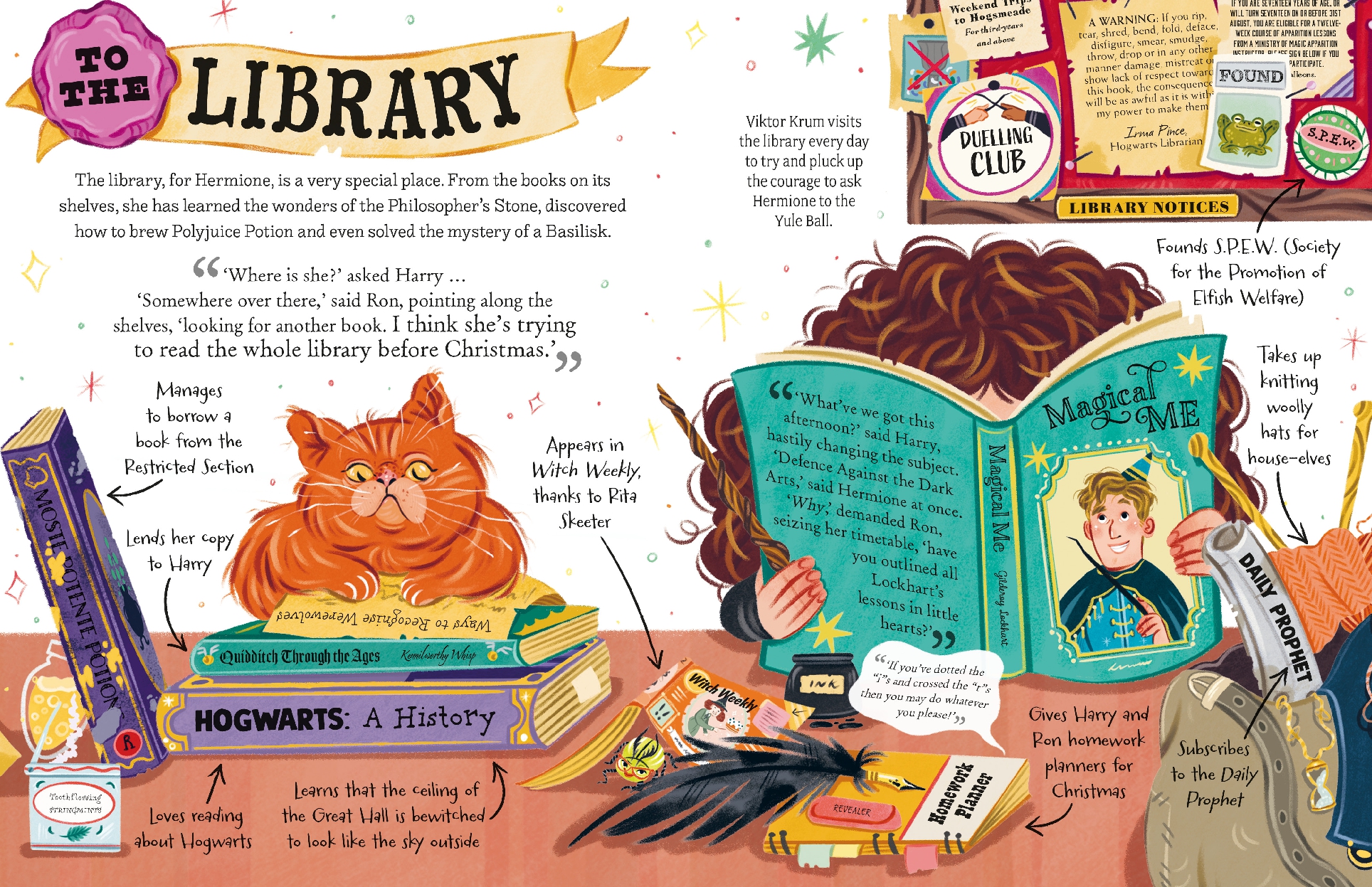 Hermione Granger (Pocket Potters - Little Guides to the HARRY POTTER Stories)