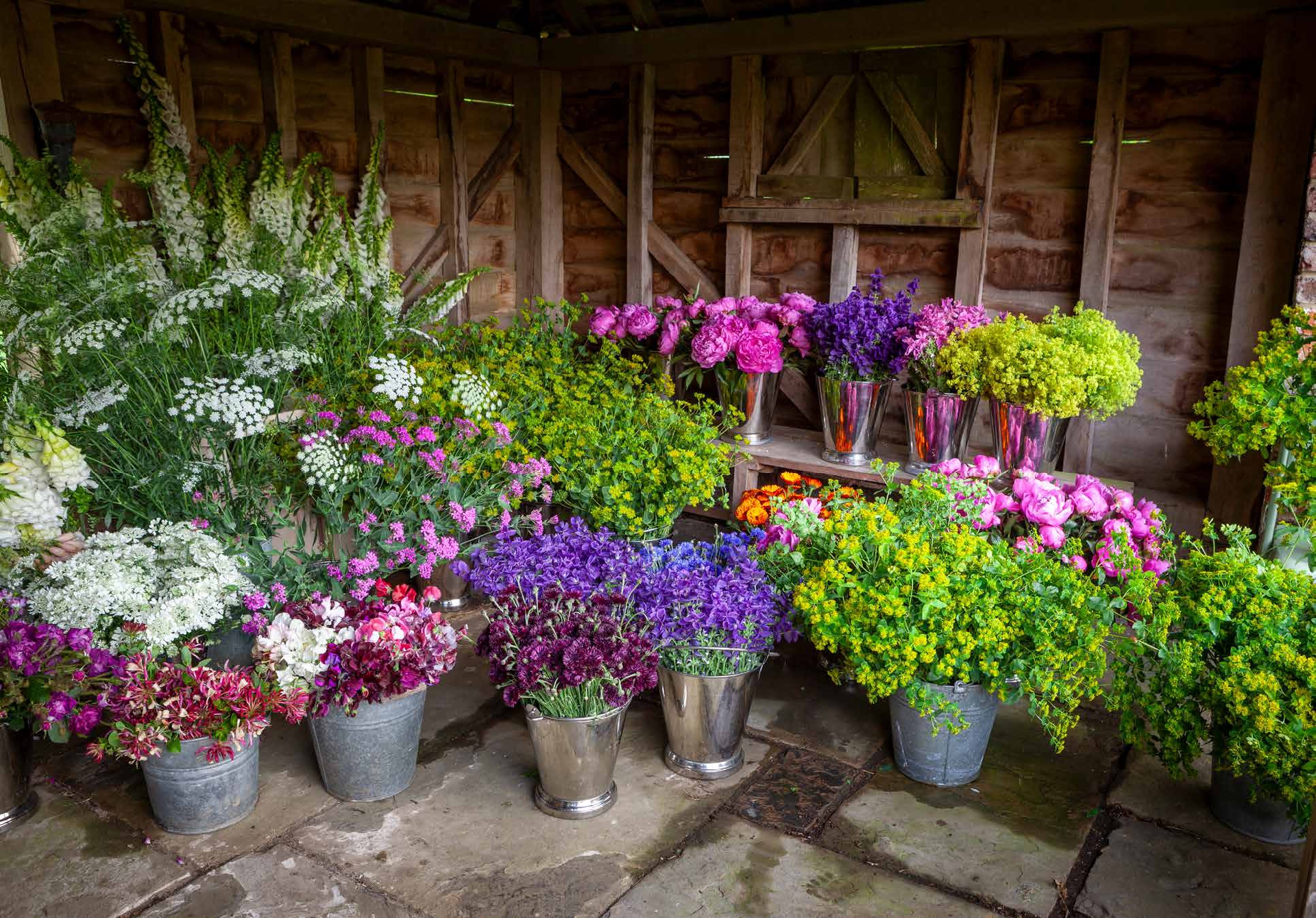 A Year of Cut Flowers